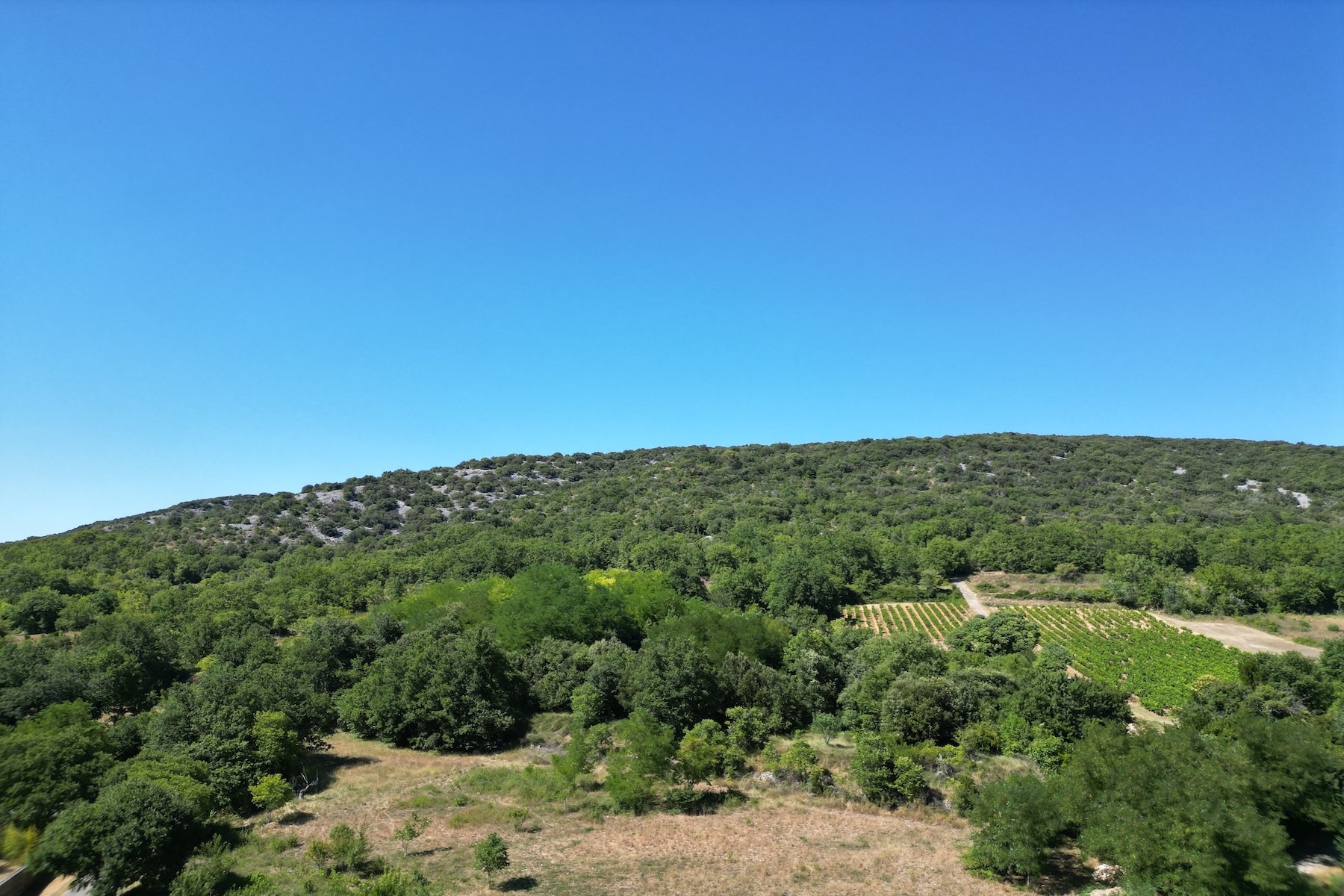  Charming Haven with Panoramic Views in the Heart of the Cèze Valley - 物件實景