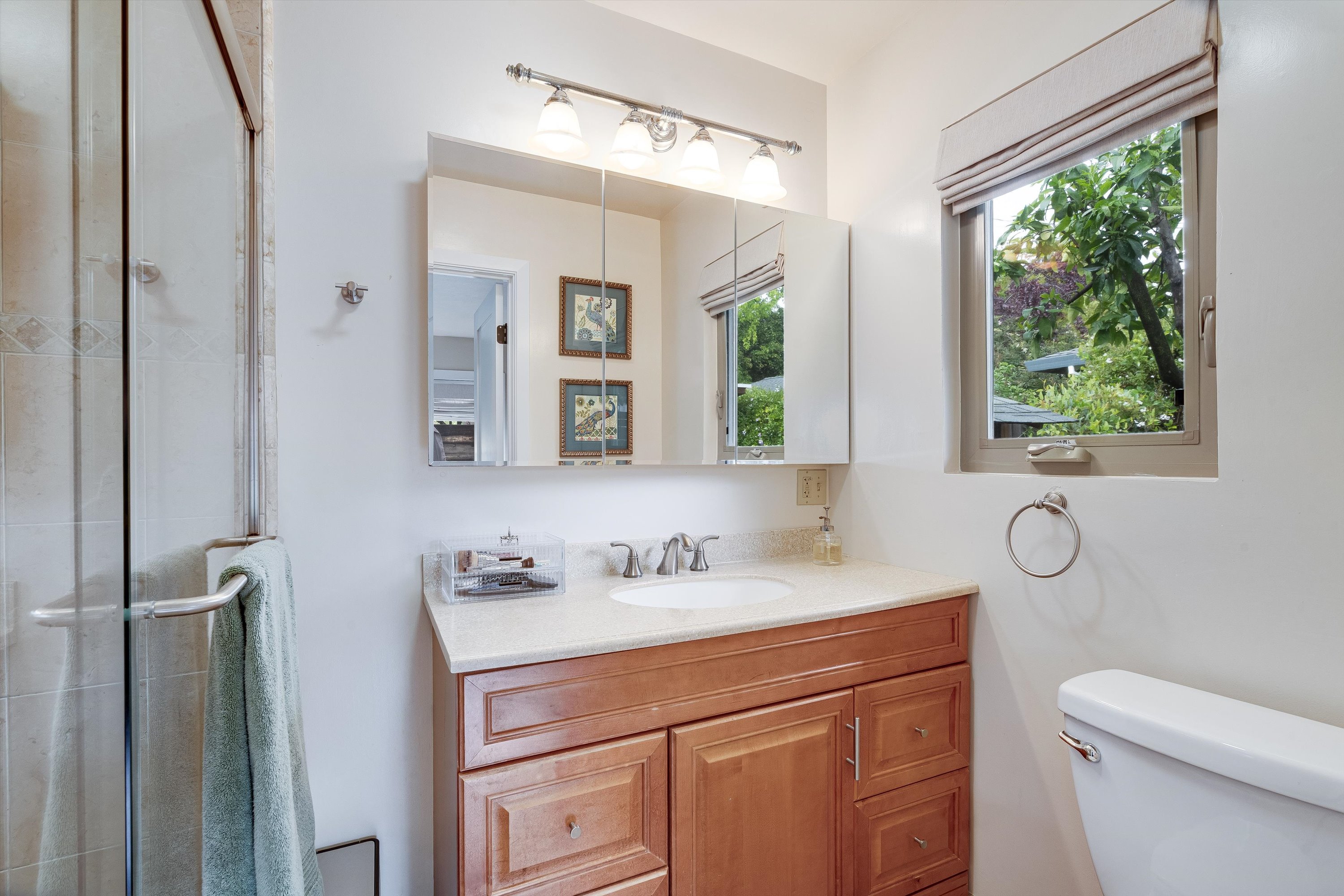  1610 Spring Mountain Road St. Helena - 物件實景