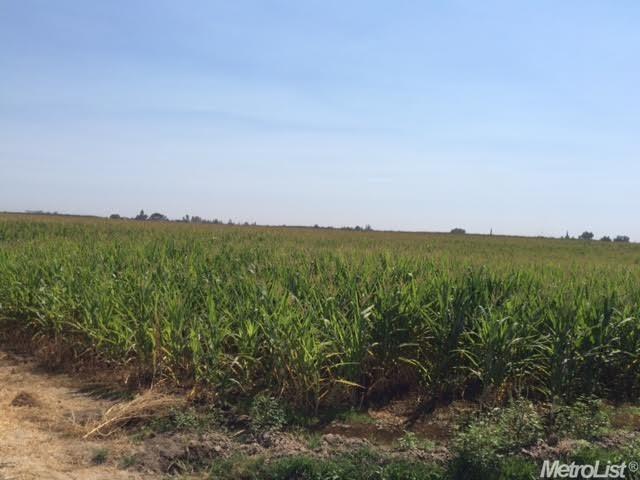 Turlock, California, 95380, United States, ,Land,For Sale,1976877