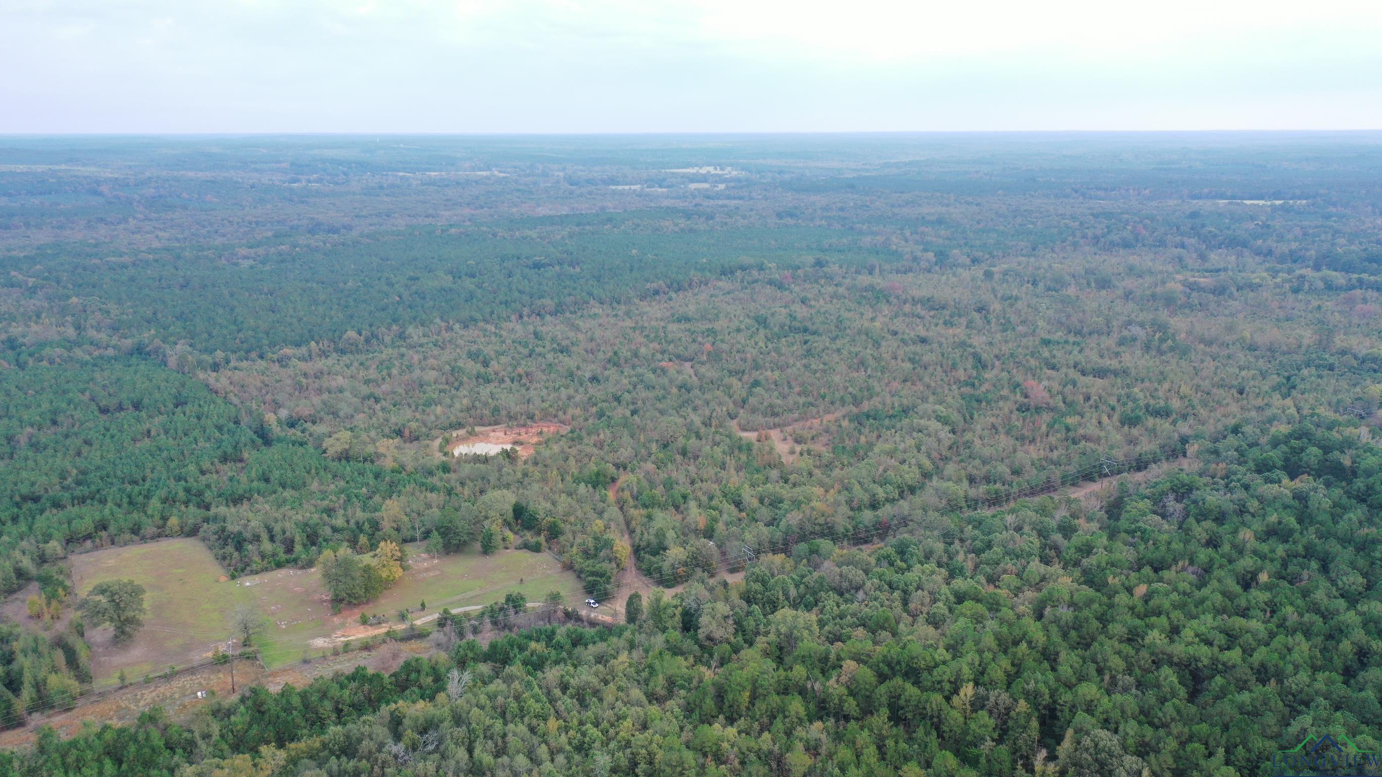 Marietta, Texas, 75566, United States, ,Land,For Sale,1977958
