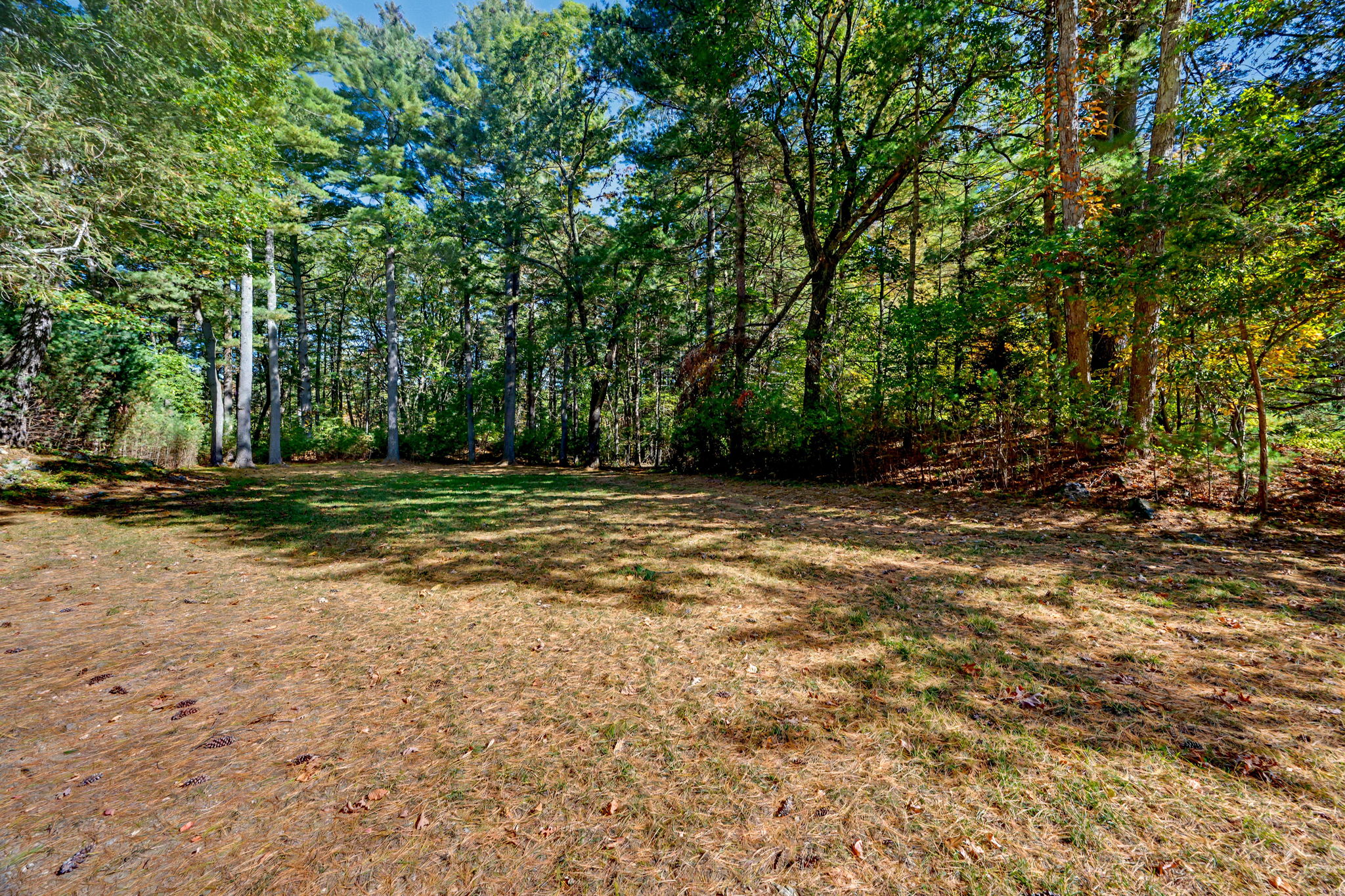  933 South Street, Needham, MA, 02492 - 物件實景