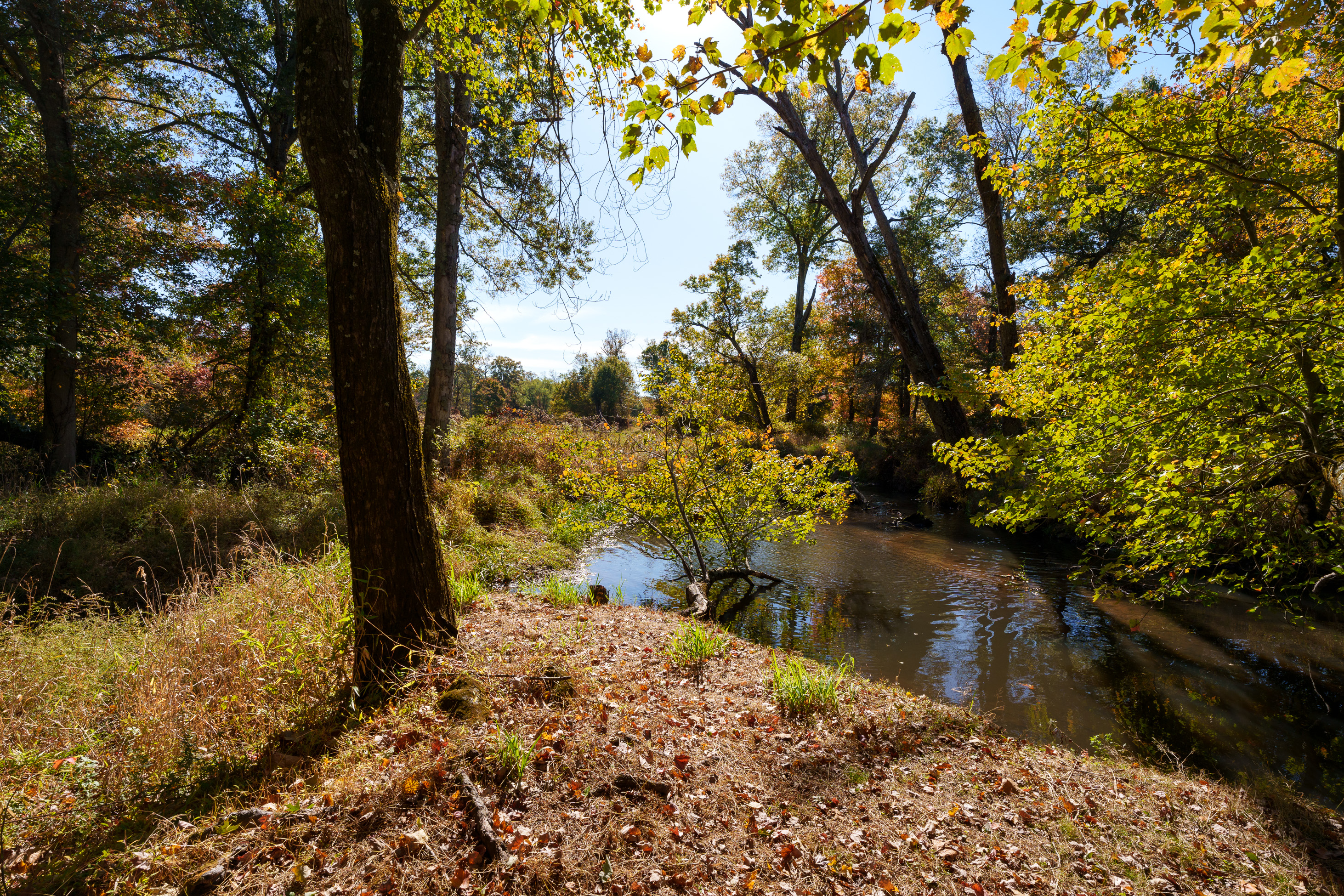  A Retreat that Redefines Luxury Living - 物件實景