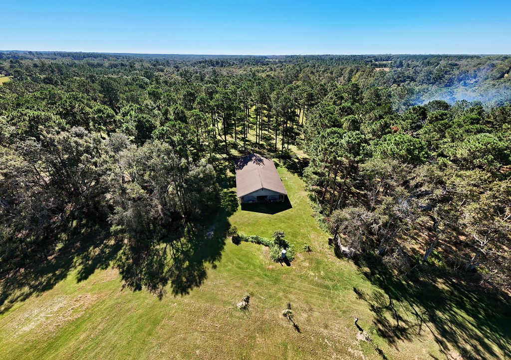 Pavo, Georgia, 31778, United States, ,Residential,For Sale,1988640