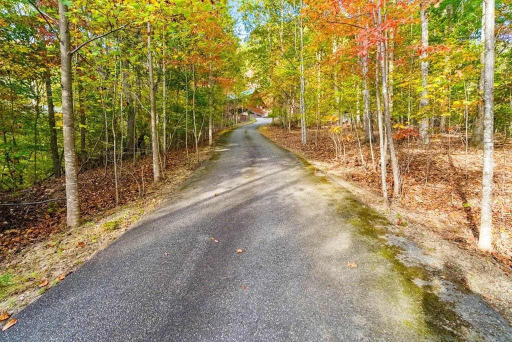 Blairsville, Georgia, 30512, United States, 3 Bedrooms Bedrooms, ,3 BathroomsBathrooms,Residential,For Sale,1979899