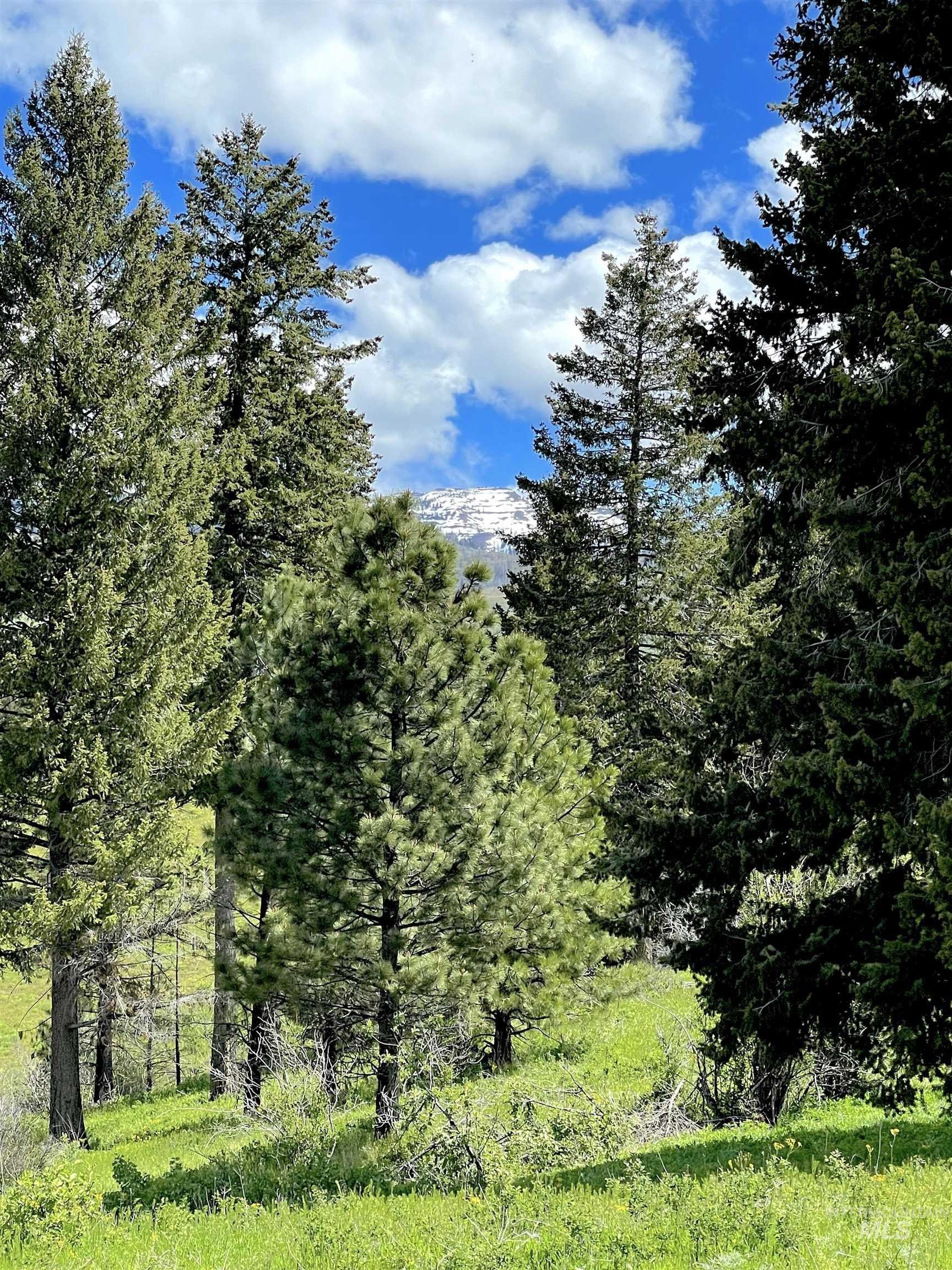 Council, Idaho, 83612, United States, ,Residential,For Sale,1921921