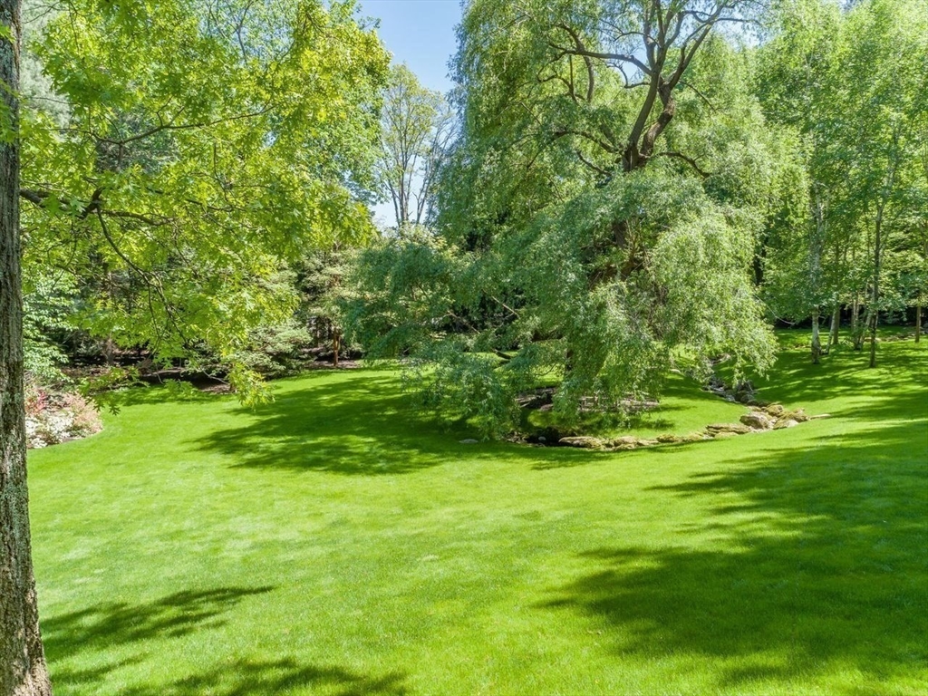 Brookline, Massachusetts, 02445, United States, 6 Bedrooms Bedrooms, ,6 BathroomsBathrooms,Residential,For Sale,1877606