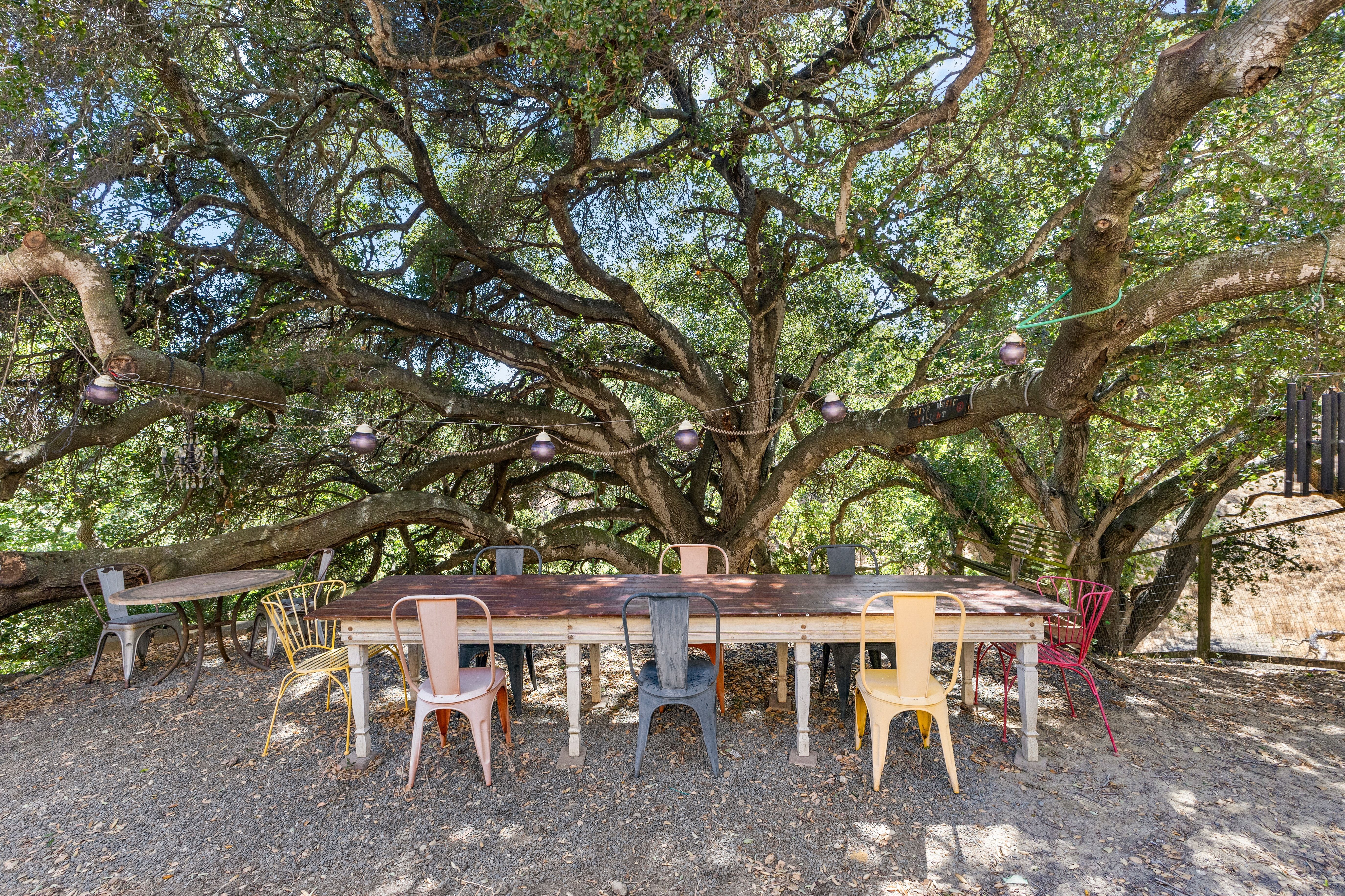  Custom Home on a Spectacular View Lot with Majestic Heritage Oak - 物件實景