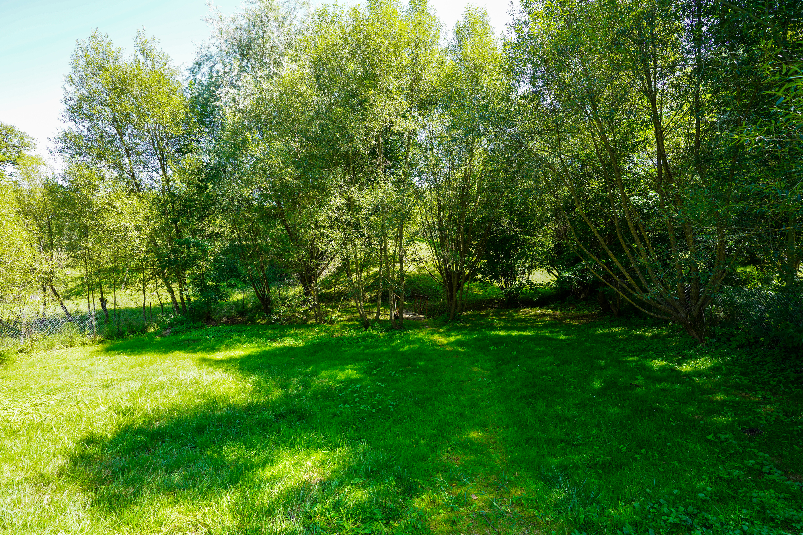  Restored Authentic Saxon House in Viscri, Between Heritage and Nature - 物件實景