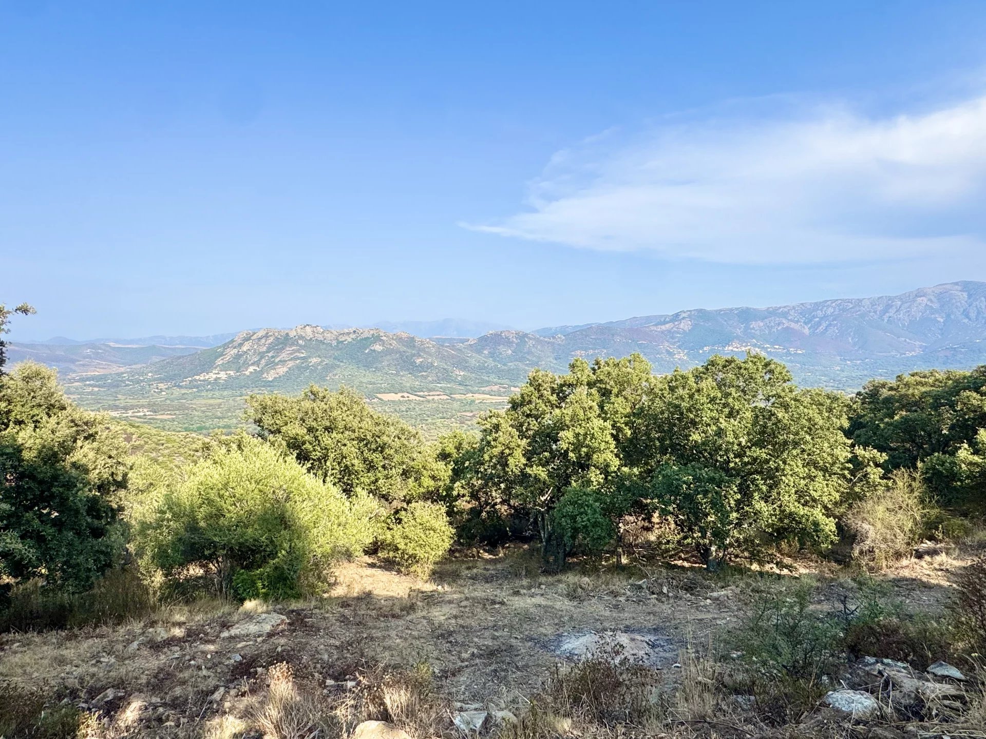 Monticello, Corsica, 20220, FR, ,Land,For Sale,1966226