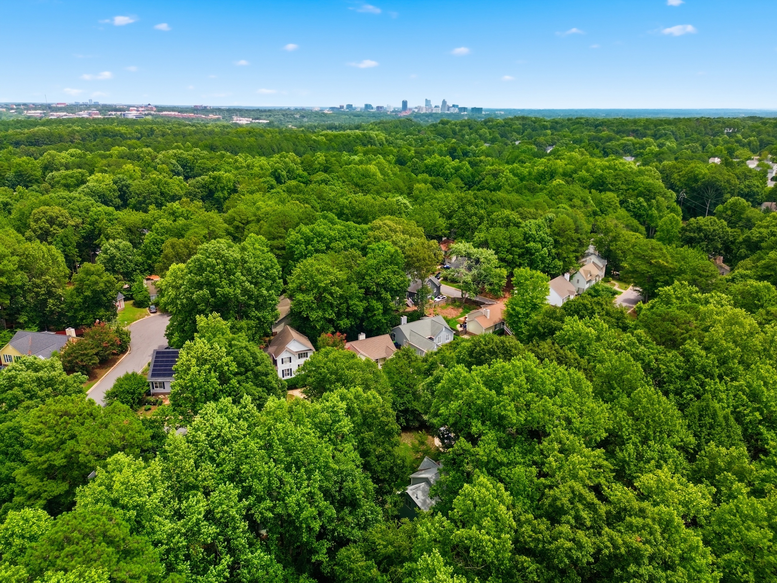  2917 Isabella Drive, Raleigh, NC 27603 - 物件實景