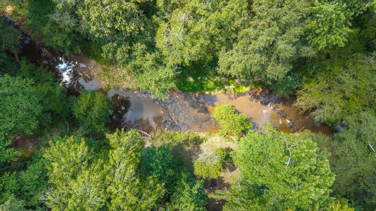 Carrollton, Georgia, 30116, United States, 4 Bedrooms Bedrooms, ,3 BathroomsBathrooms,Residential,For Sale,2005638