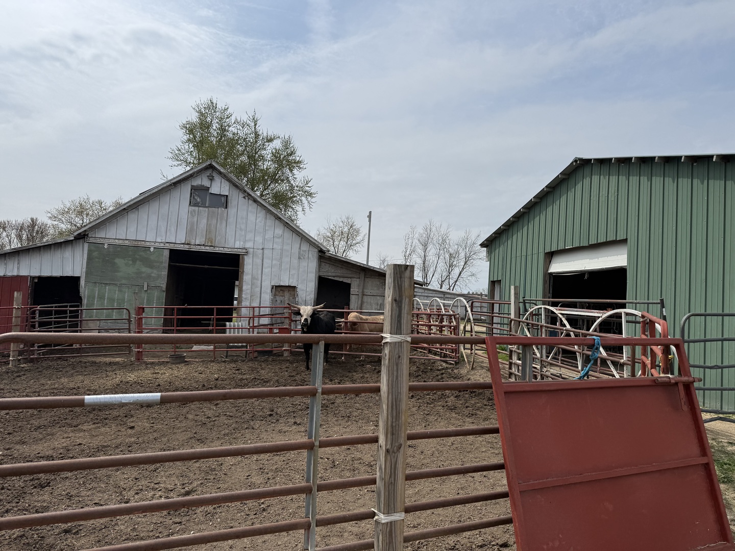 Belvidere, Illinois, 61008, United States, 3 Bedrooms Bedrooms, ,3 BathroomsBathrooms,Residential,For Sale,1795065