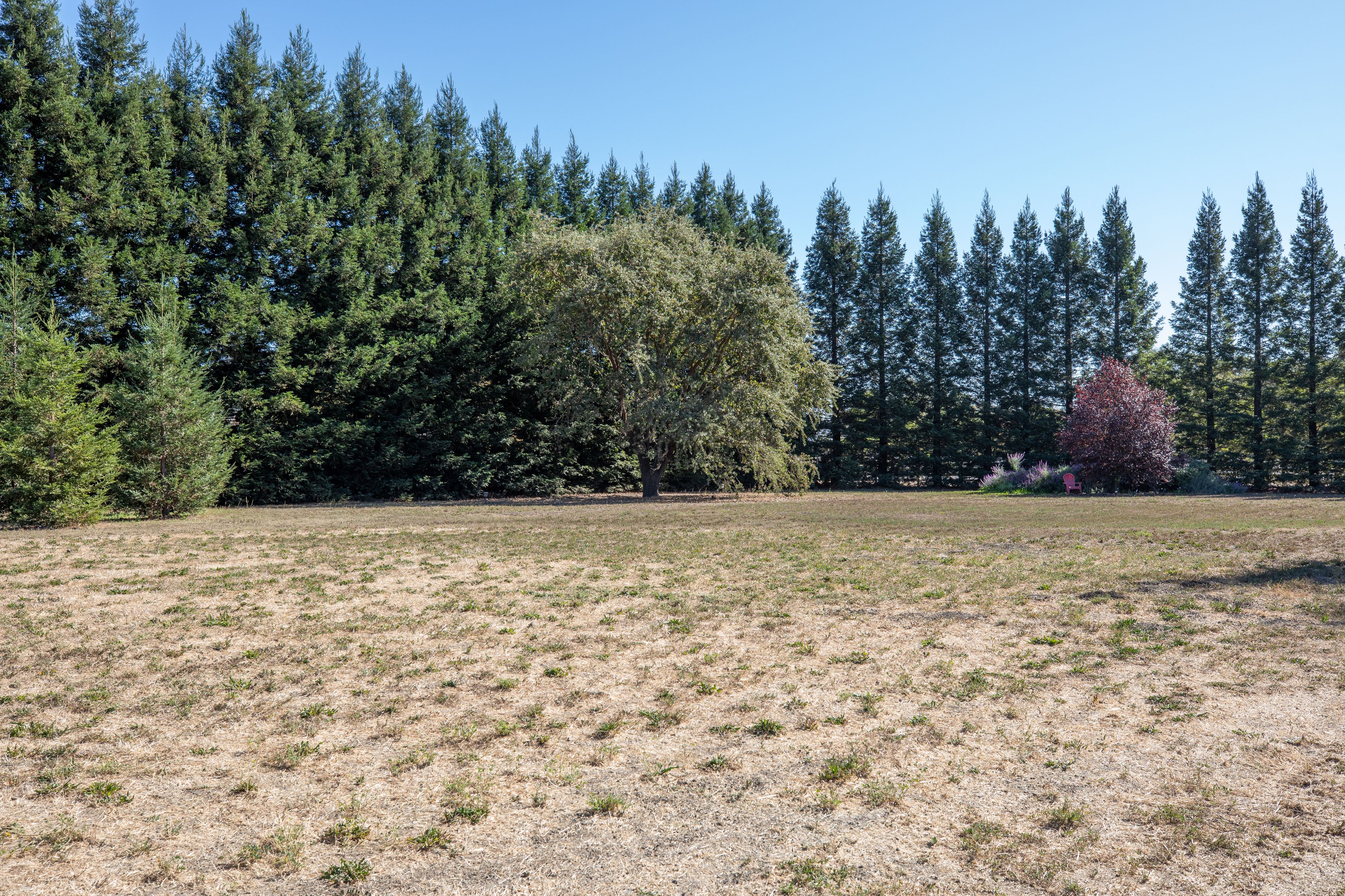  3290 Somers Street, Santa Rosa - 物件實景