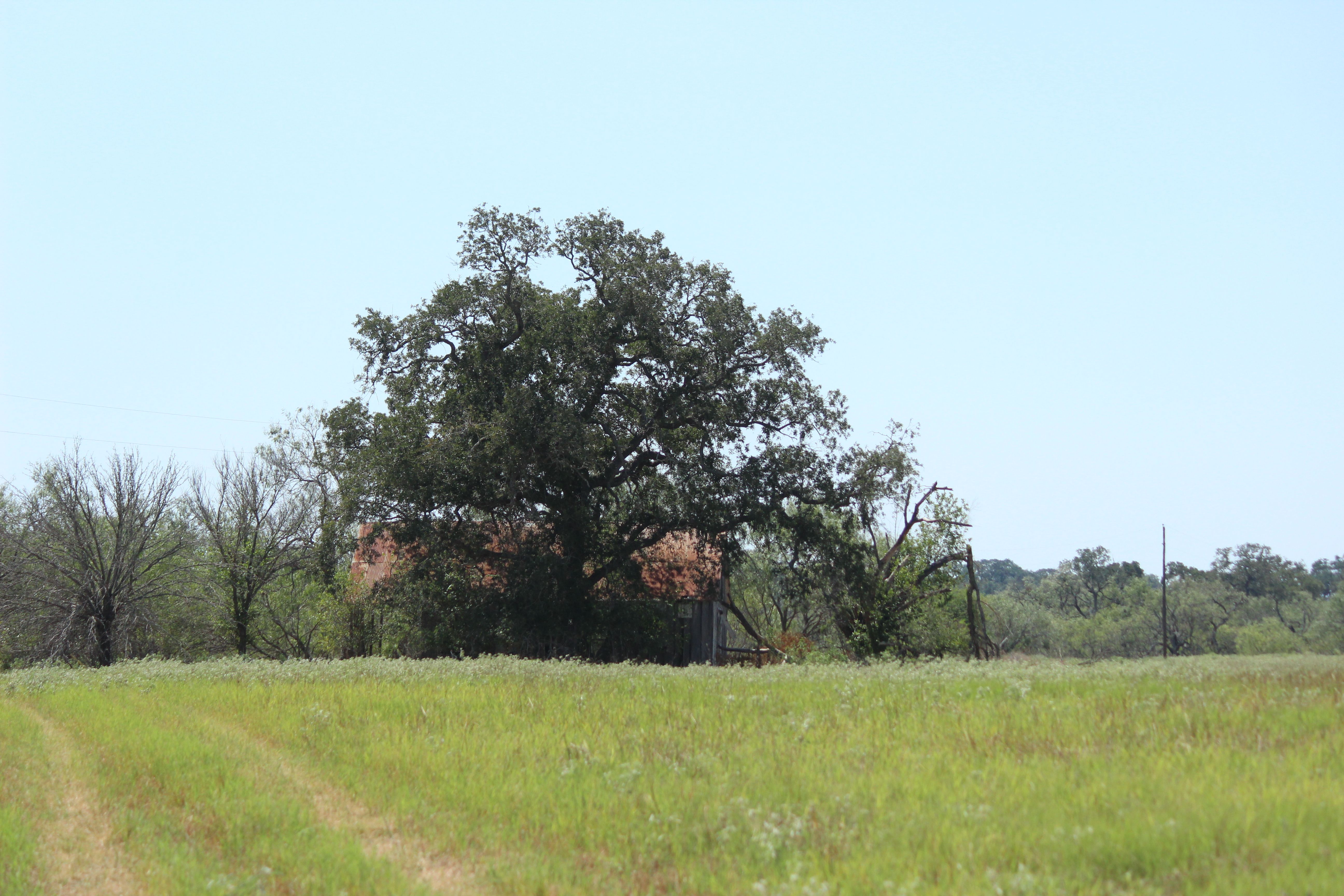  398+/- Acre Grass Pond Colony Ranch - 物件實景