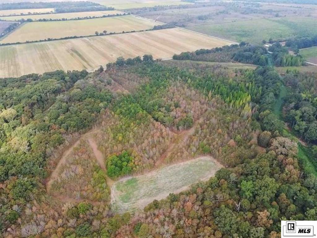491 FORTENBERRY ROAD, Rayville, Louisiana, 71269, United States, ,Land,For Sale,491 FORTENBERRY ROAD,1683362