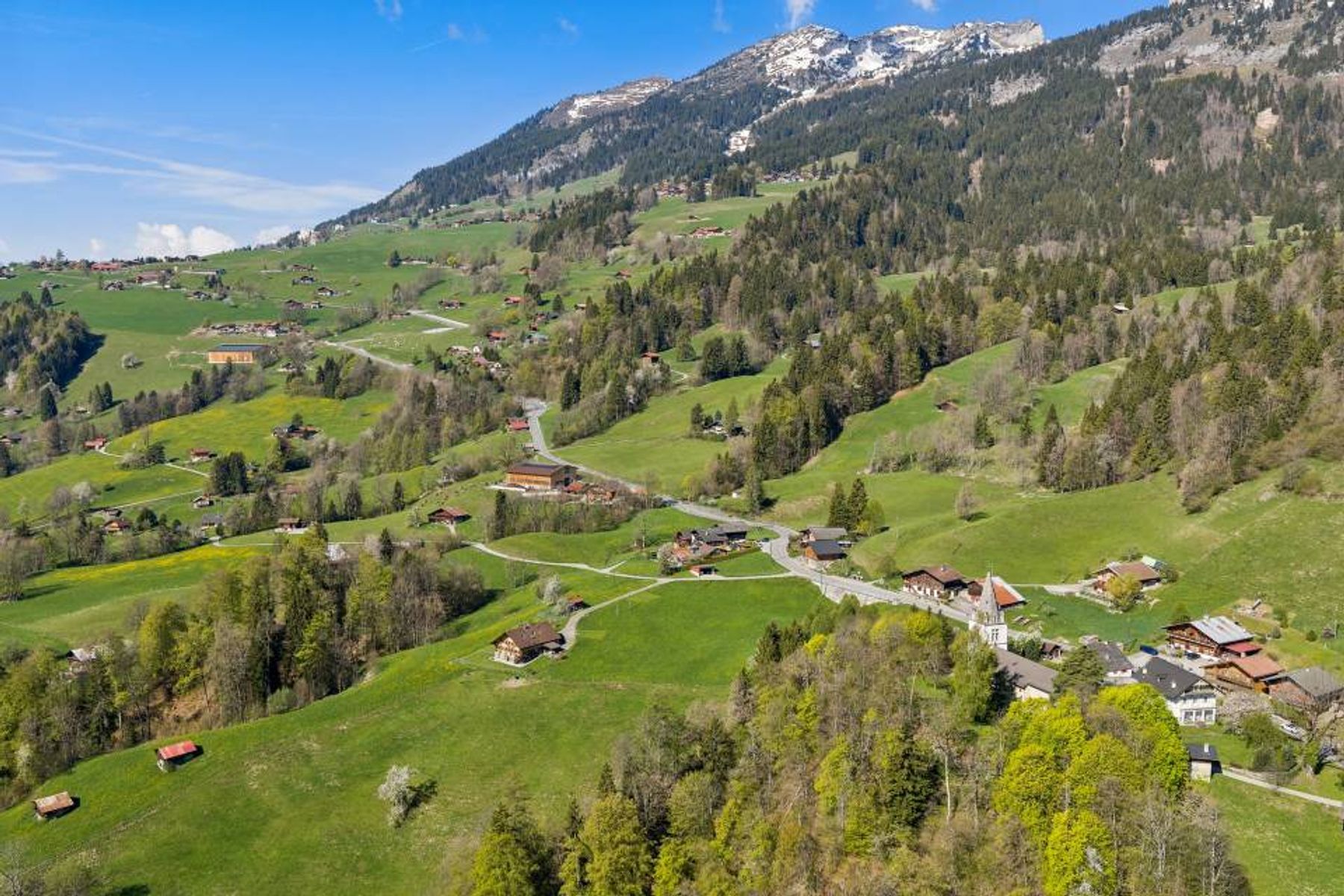  Chalet with two apartments and authentic charm - 物件實景