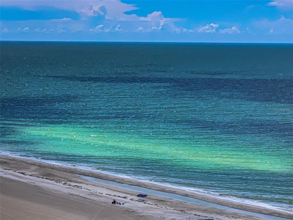 Clearwater Beach, Florida, 33767, United States, 1 Bedroom Bedrooms, ,2 BathroomsBathrooms,Residential,For Sale,1939900