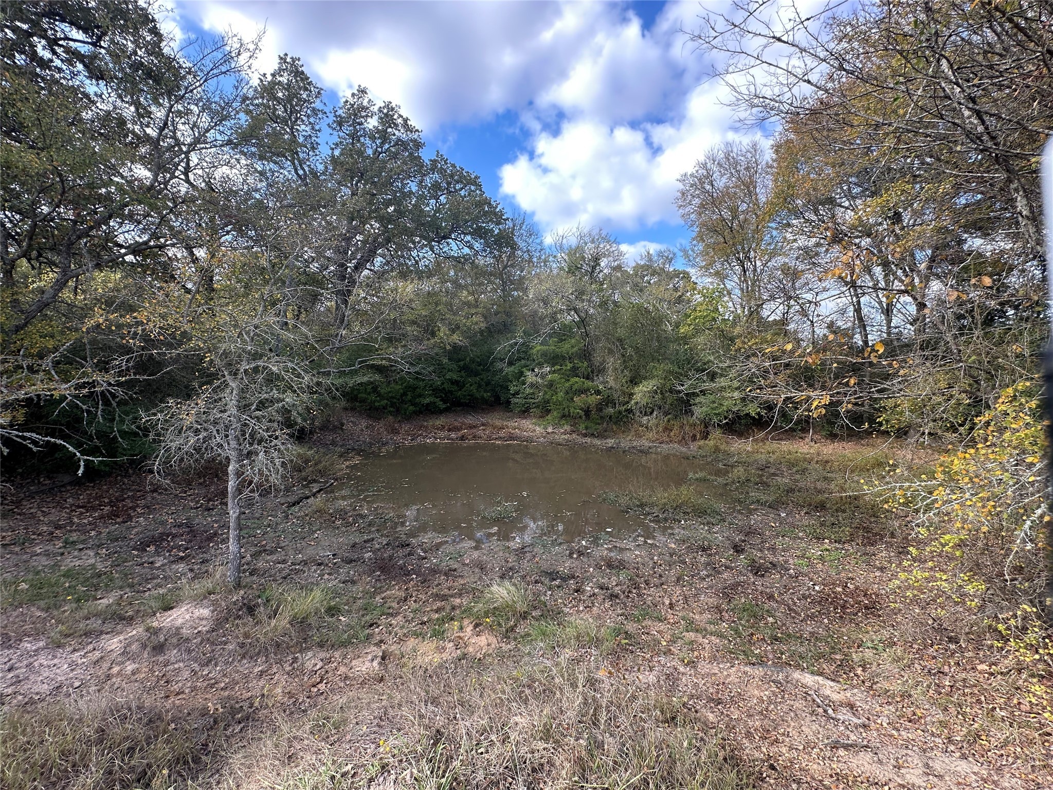 Thornton, Texas, 76687, United States, ,Land,For Sale,1995546