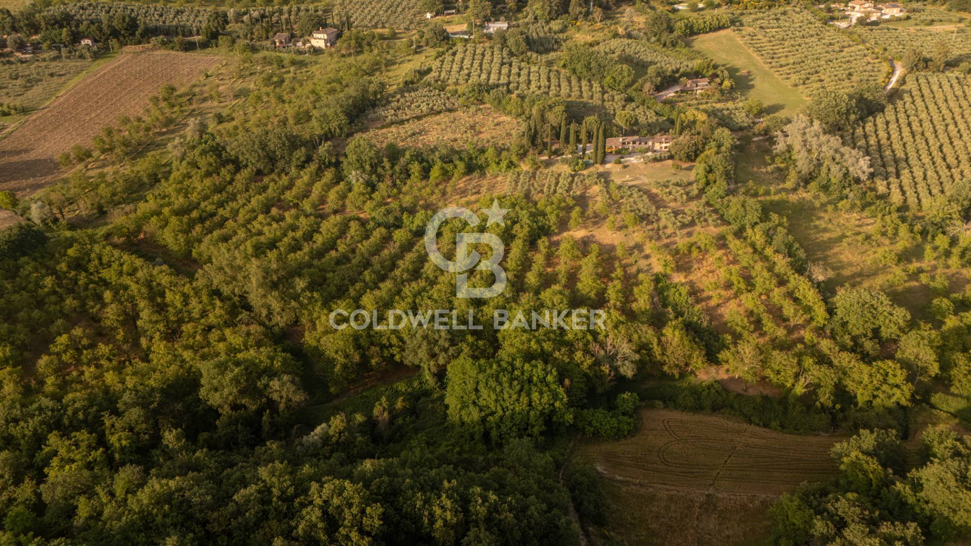 Perugia, Perugia, 06100, IT, 6 Bedrooms Bedrooms, ,3 BathroomsBathrooms,Residential,For Sale,1883691