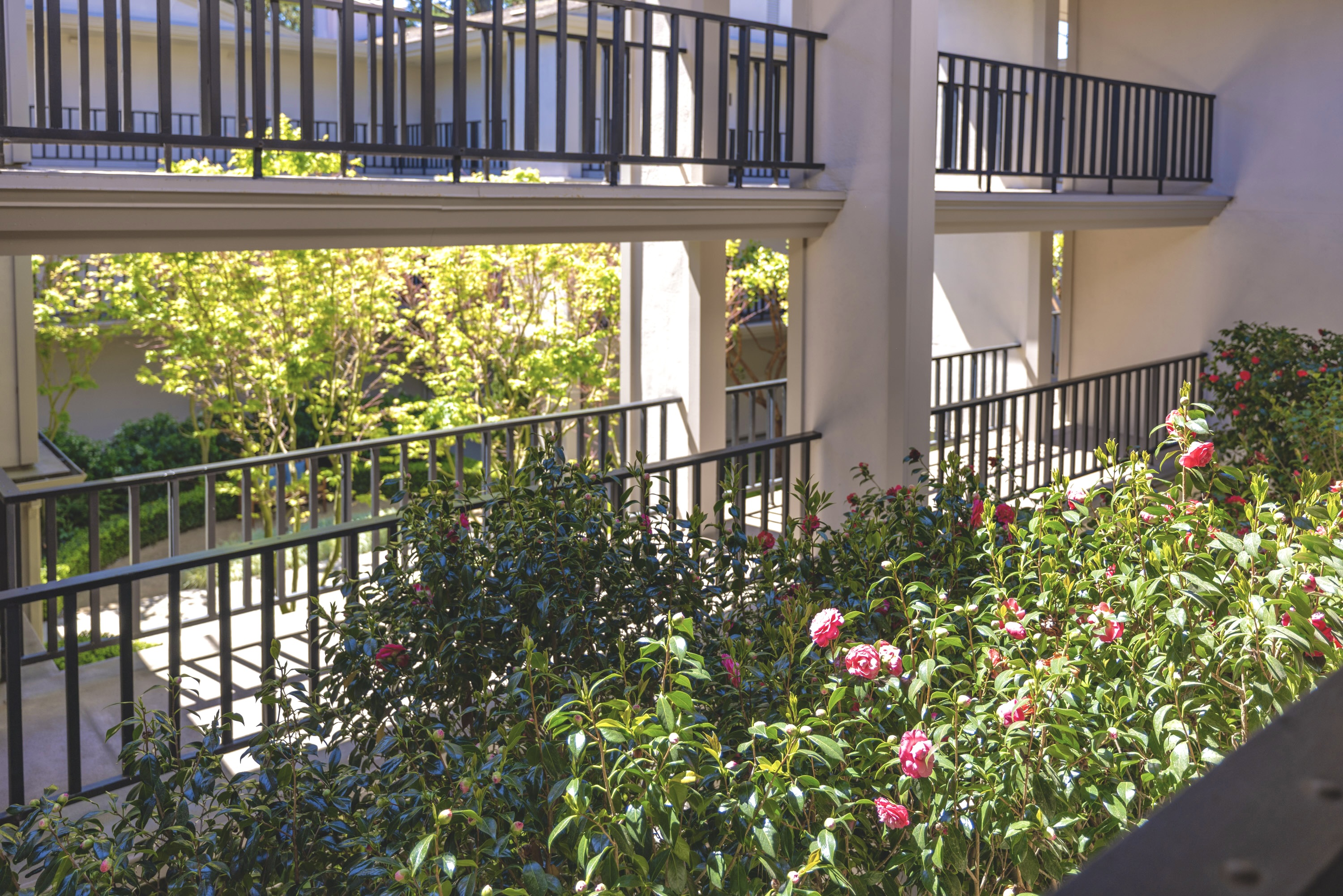  4 Ocean Pines Lane - 物件實景