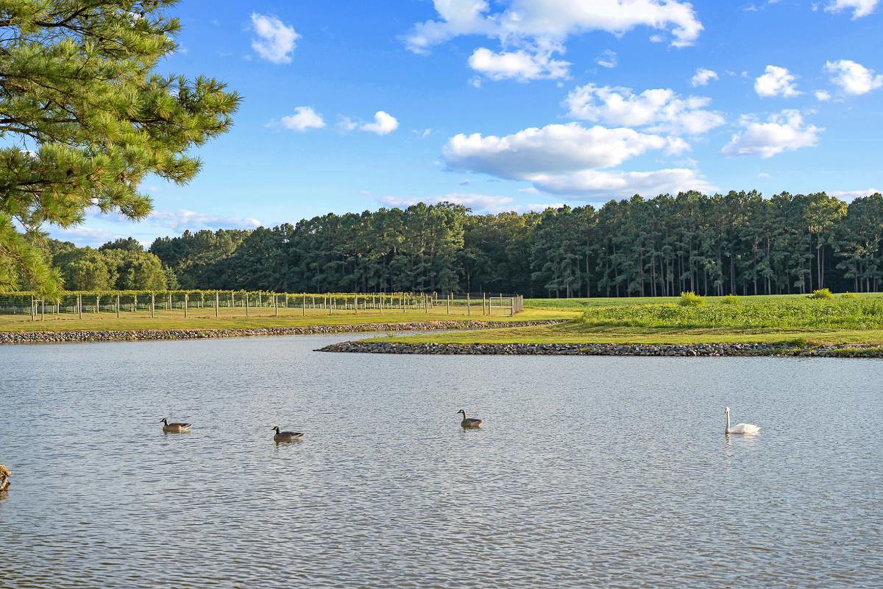  27772 Sharp Road, Easton, MD, 21601 - 物件實景