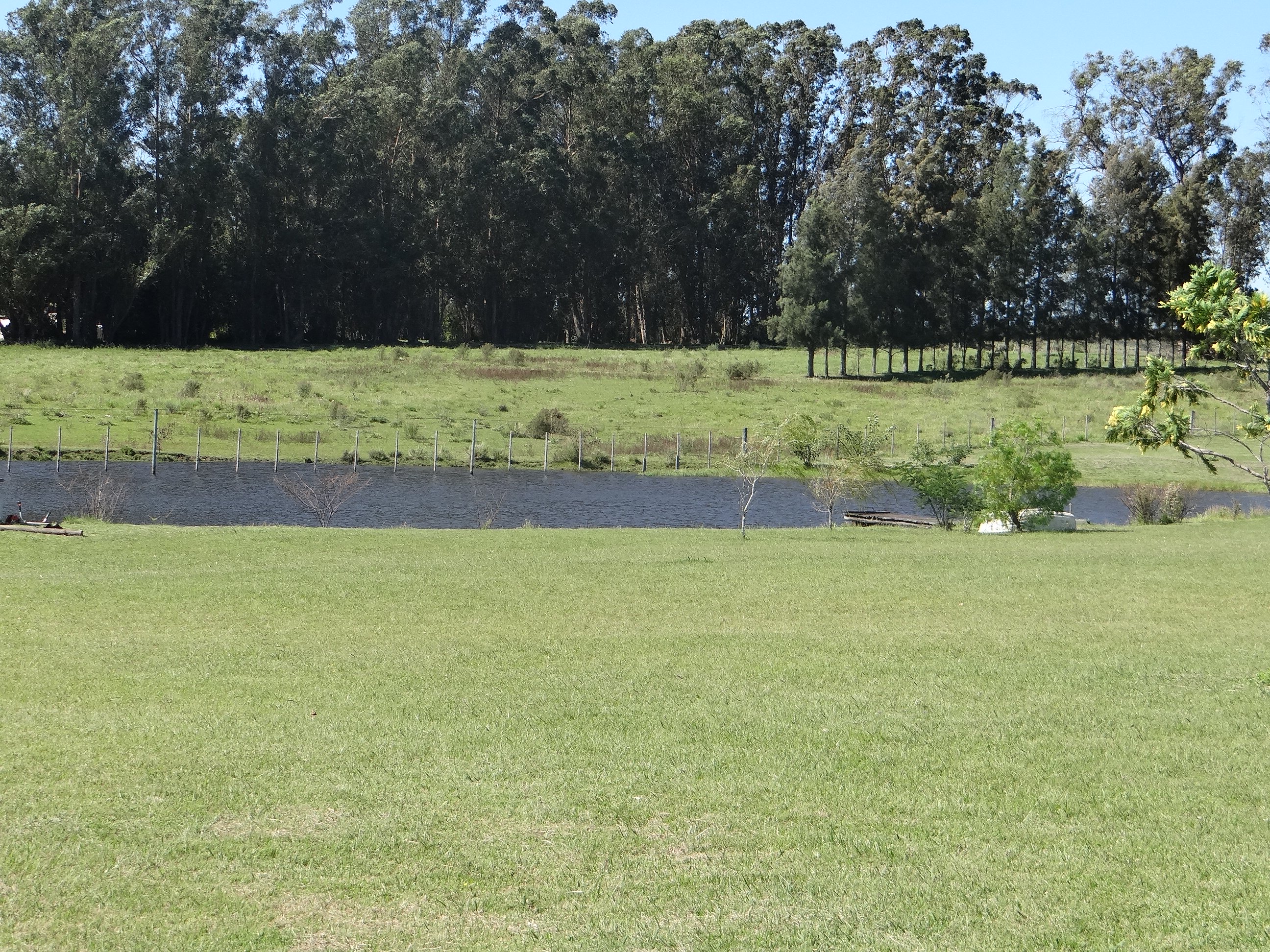  Farm in Pueblo Edén - 物件實景