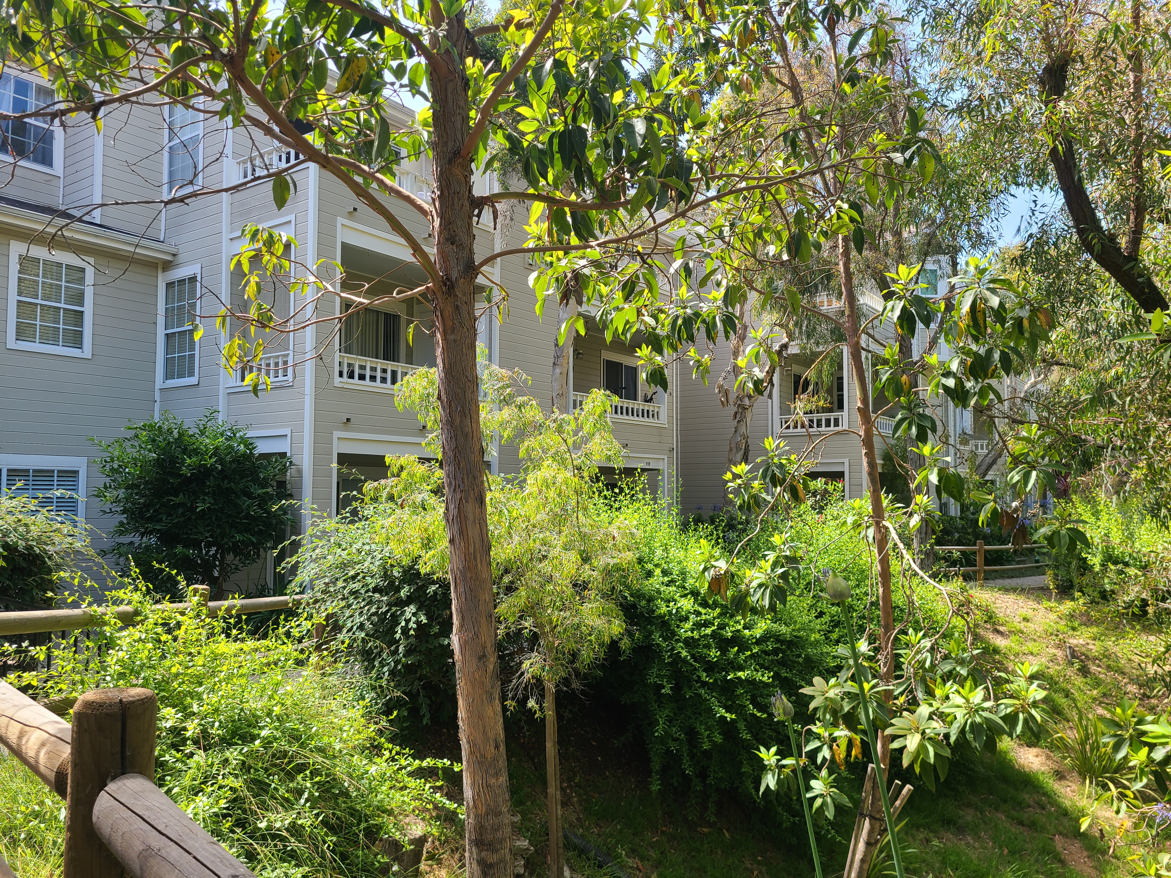 Goleta, California, 93117, United States, 1 Bedroom Bedrooms, ,1 BathroomBathrooms,Residential,For Sale,1868598
