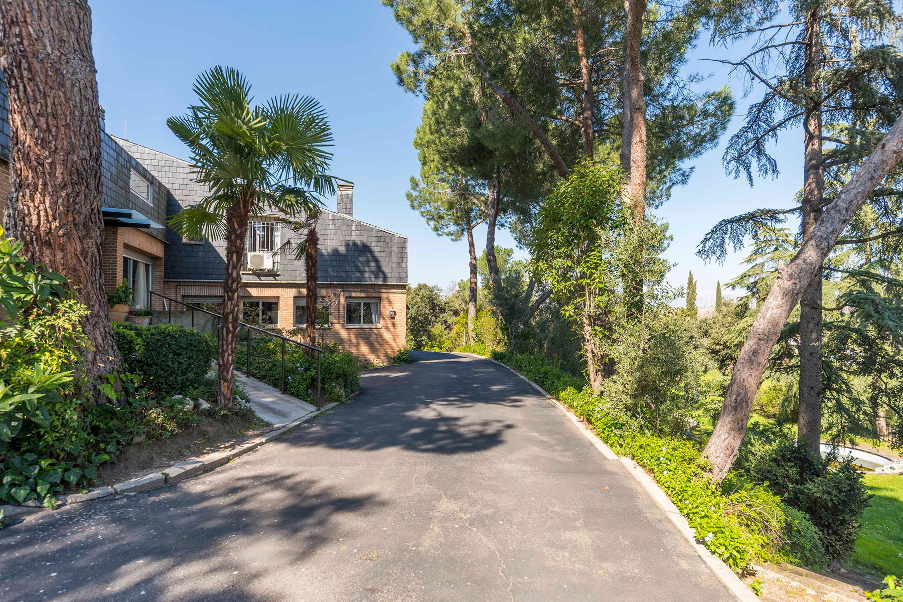  Wonderful hectare plot in La Moraleja - 物件實景