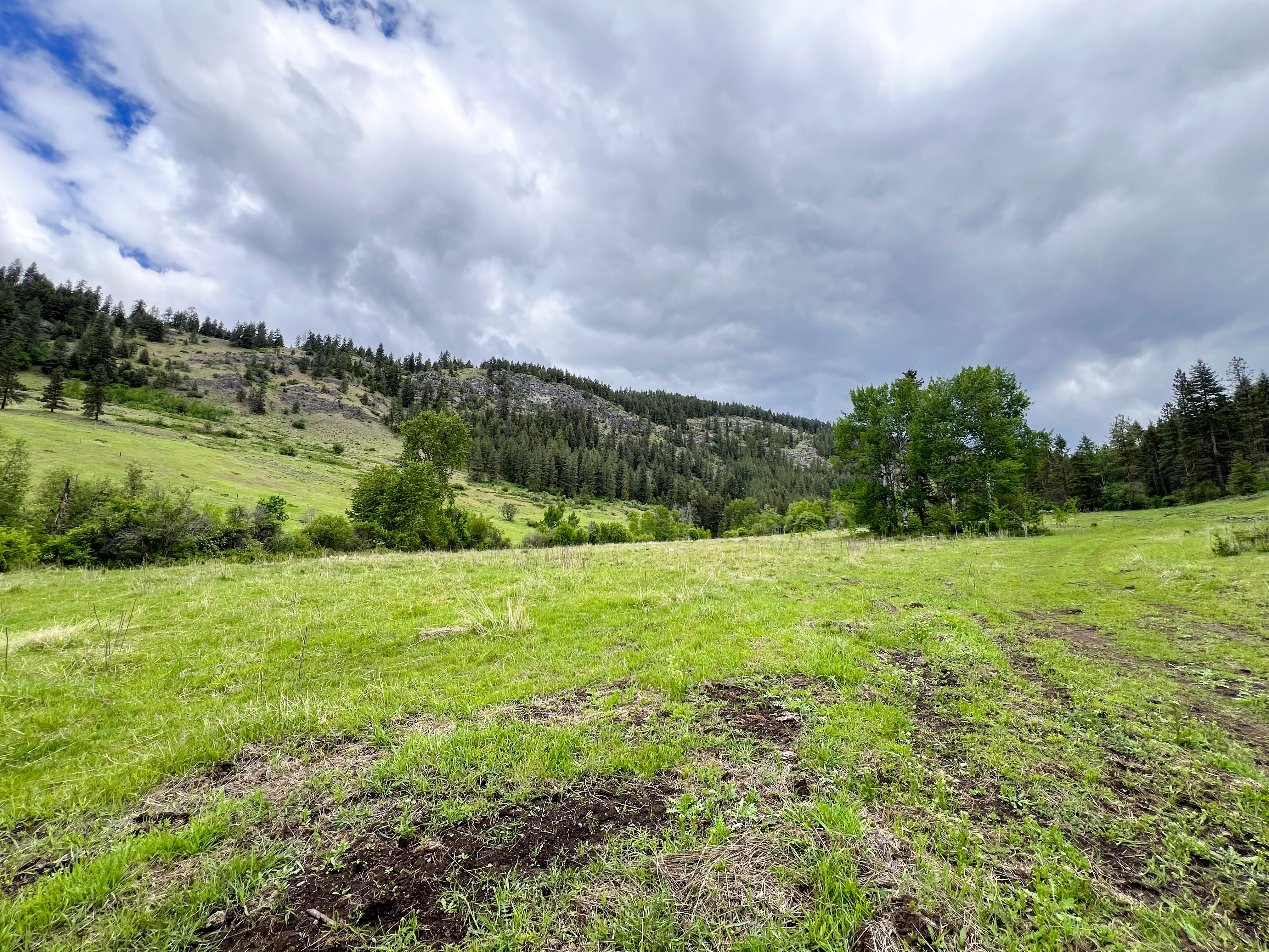 Kettle Falls, Washington, 99141, United States, 3 Bedrooms Bedrooms, ,2 BathroomsBathrooms,Residential,For Sale,1985709