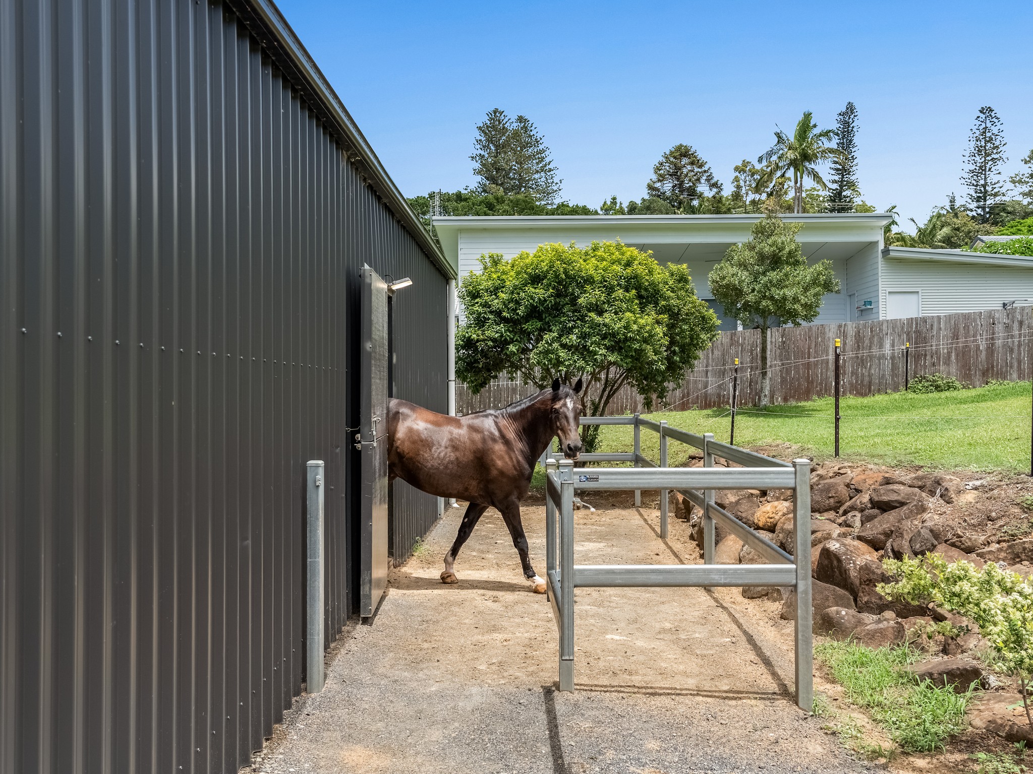  16 Tara Downs, Lennox Head - 物件實景