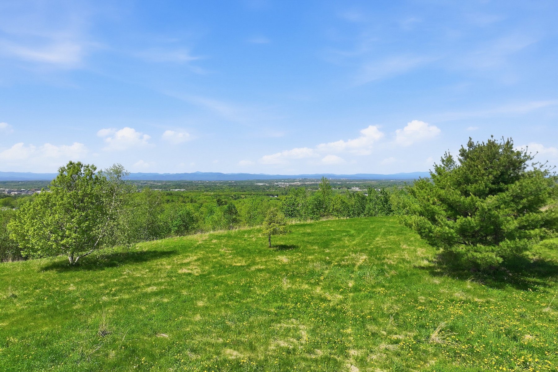  351 Ledgewood Drive - 物件實景