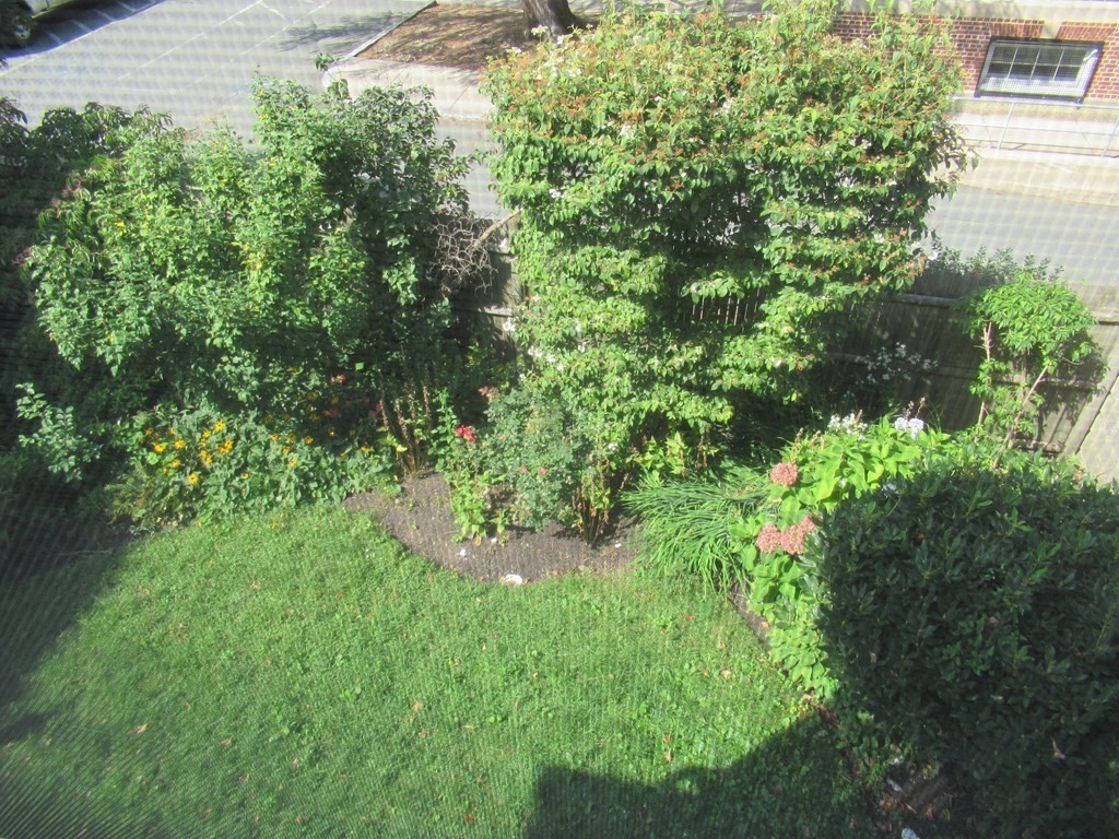 Salem, Massachusetts, 01970, United States, 4 Bedrooms Bedrooms, ,2 BathroomsBathrooms,Residential,For Sale,1846004