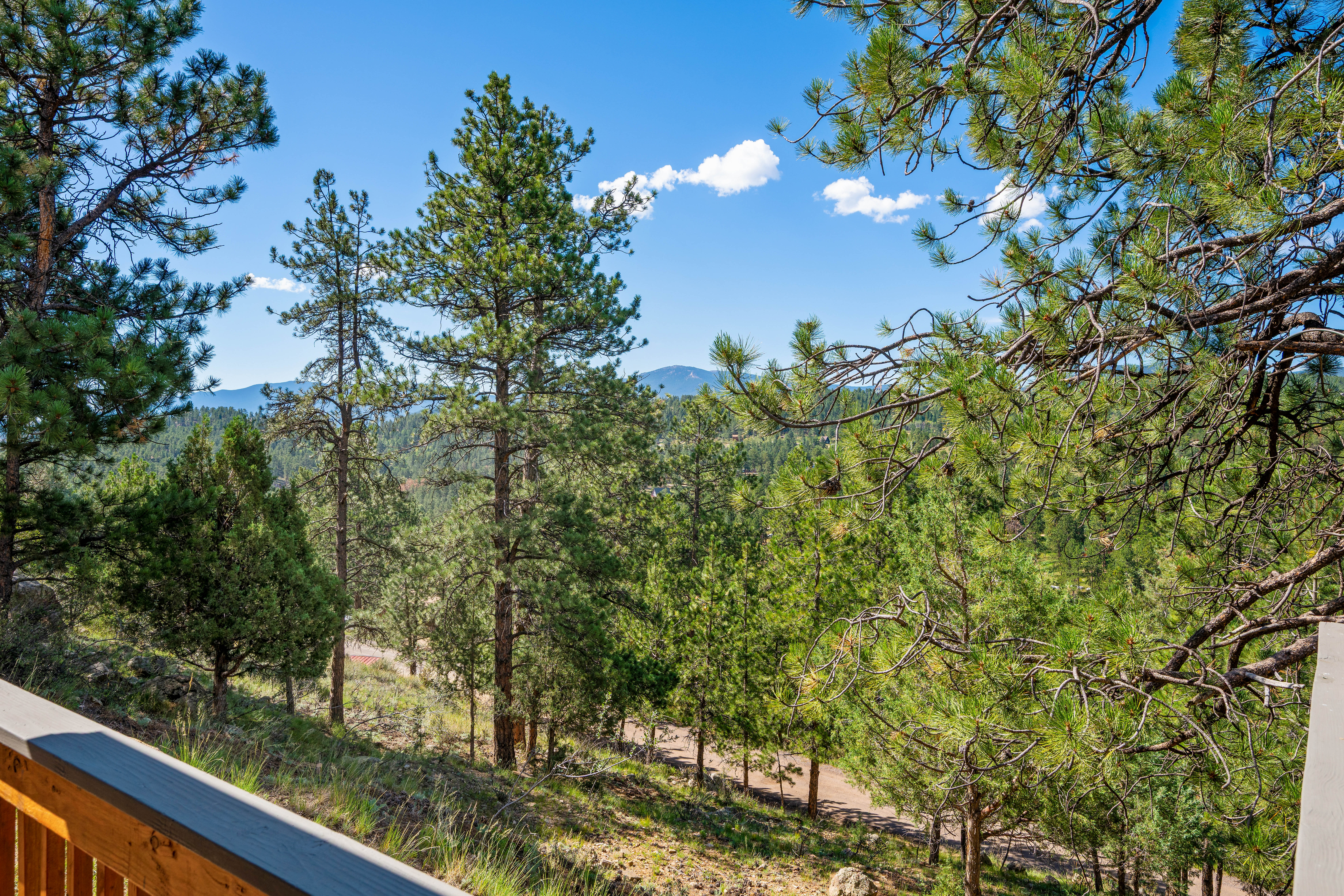  Rare Opportunity To Own Two Mountain Homes - 物件實景