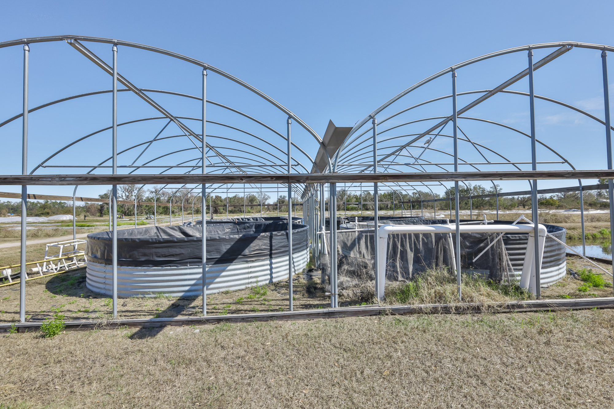 Wimauma, Florida, 33598, United States, 3 Bedrooms Bedrooms, ,2 BathroomsBathrooms,Residential,For Sale,2016610