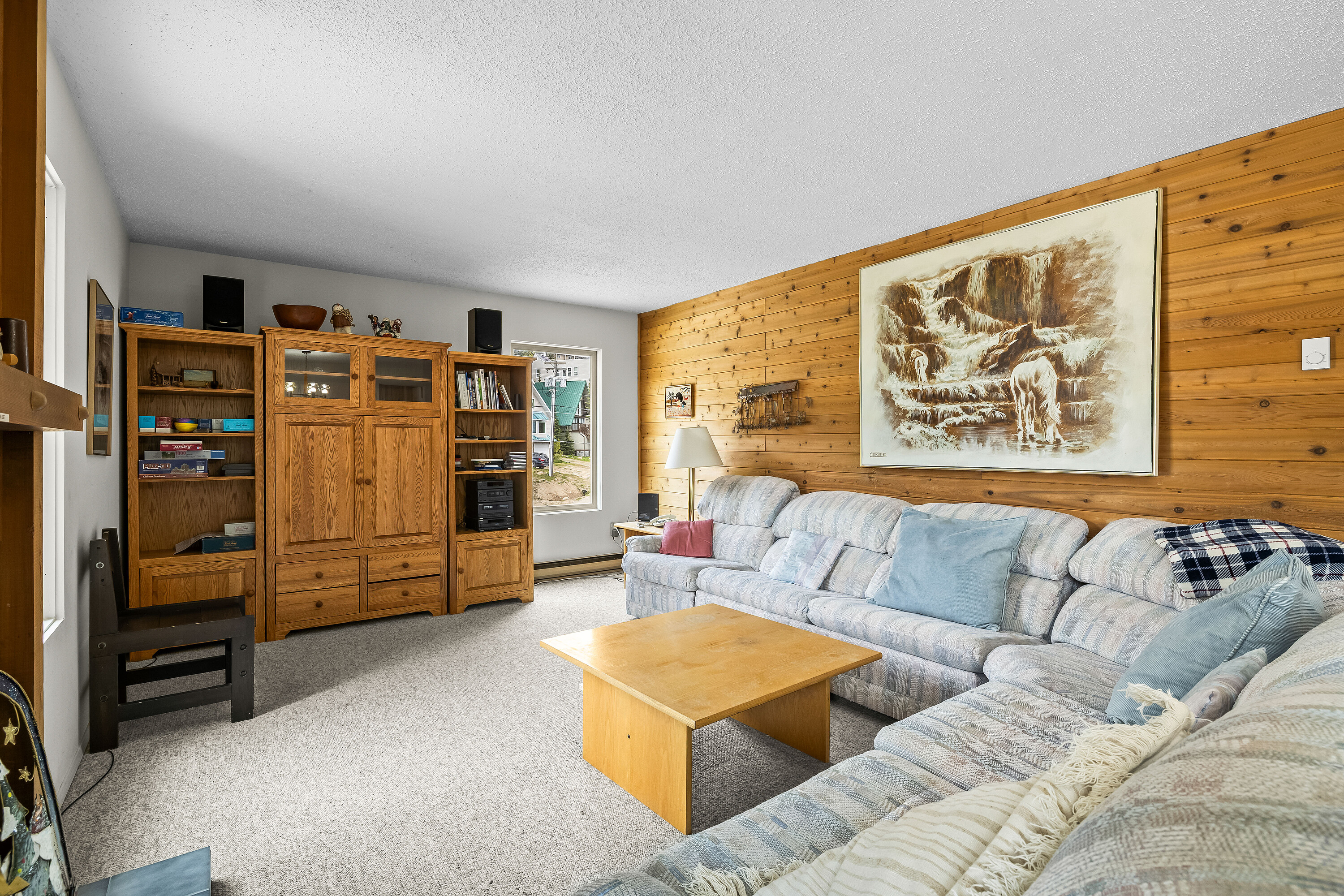  Turn Key Ski Condo - 物件實景