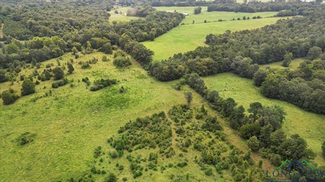 Henderson, Texas, 75654, United States, ,Land,For Sale,1951348