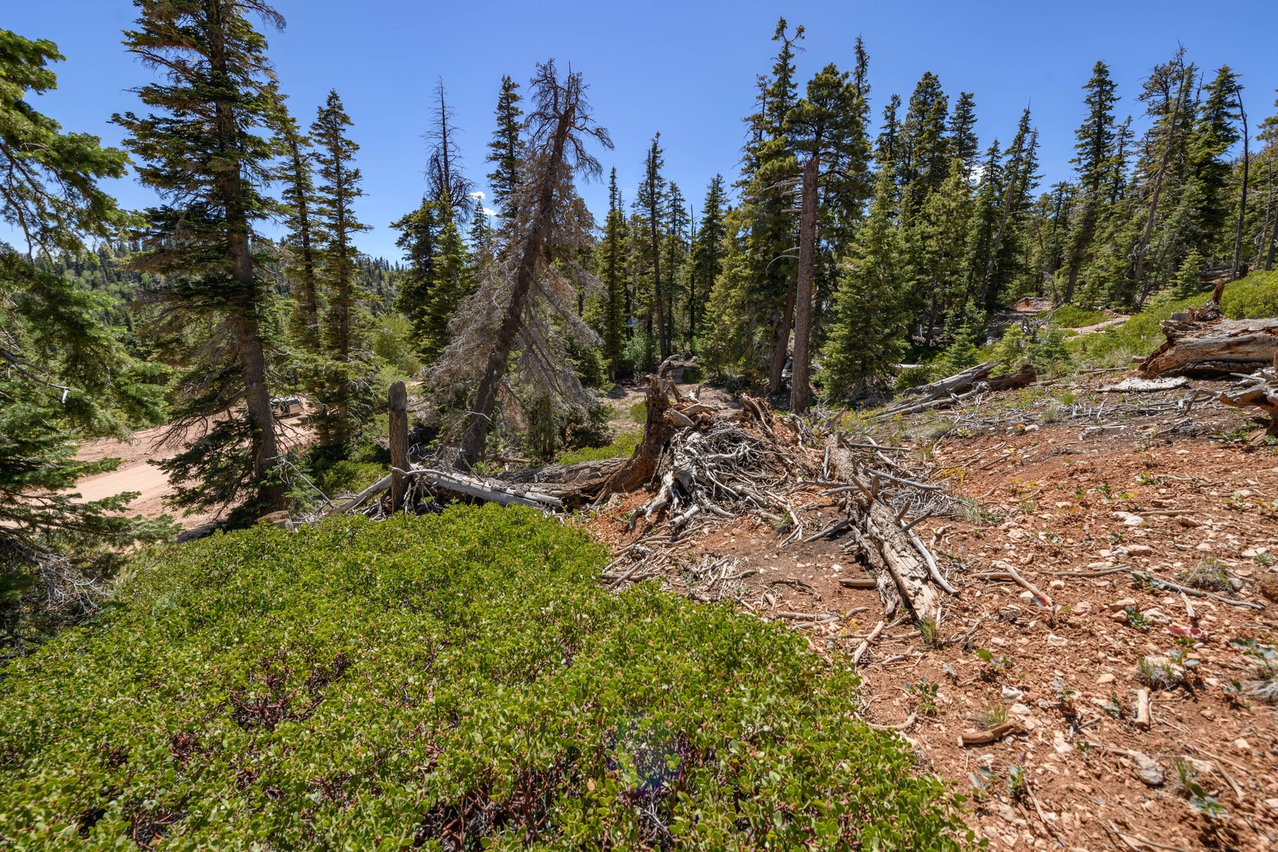  Quiet Mountain Retreat Near Navajo Lake - 物件實景