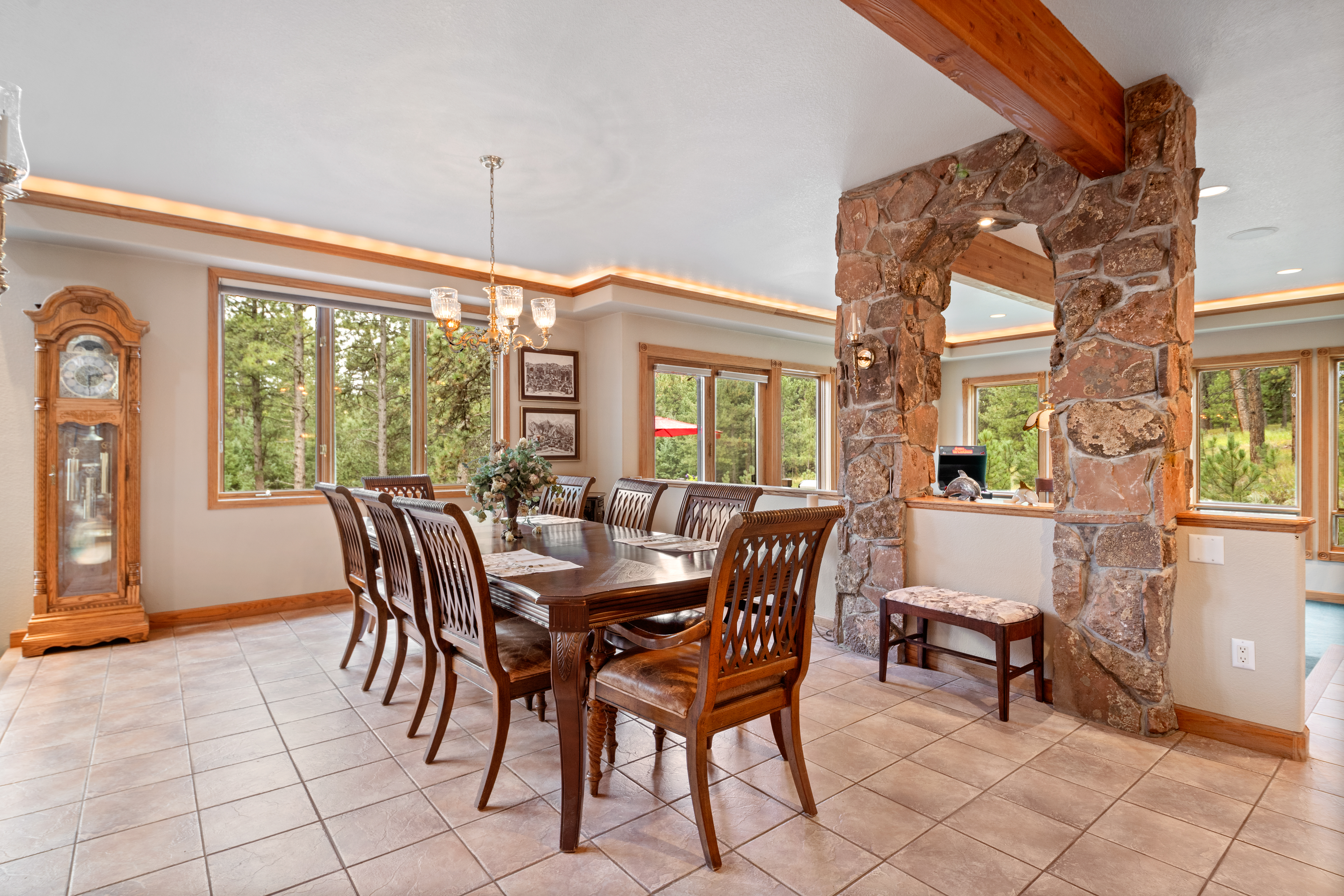  Perfect Blend of Space and Colorado Living That Backs to Pike National Forest - 物件實景