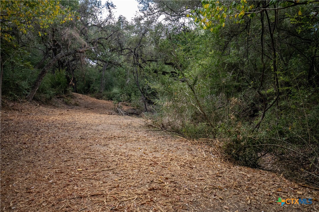 Cuero, Texas, 77954, United States, ,Residential,For Sale,1963995