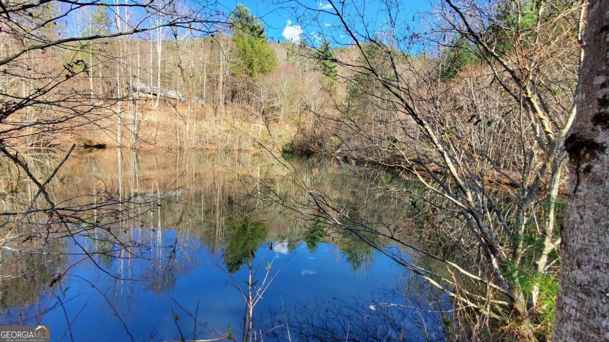 Cherry Log, Georgia, 30522, United States, ,Land,For Sale,1859131