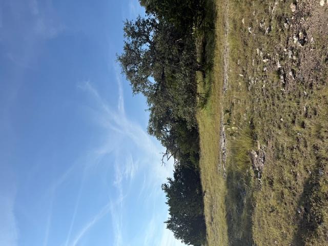 Fredericksburg, Texas, 78624, United States, 3 Bedrooms Bedrooms, ,2 BathroomsBathrooms,Residential,For Sale,1984349