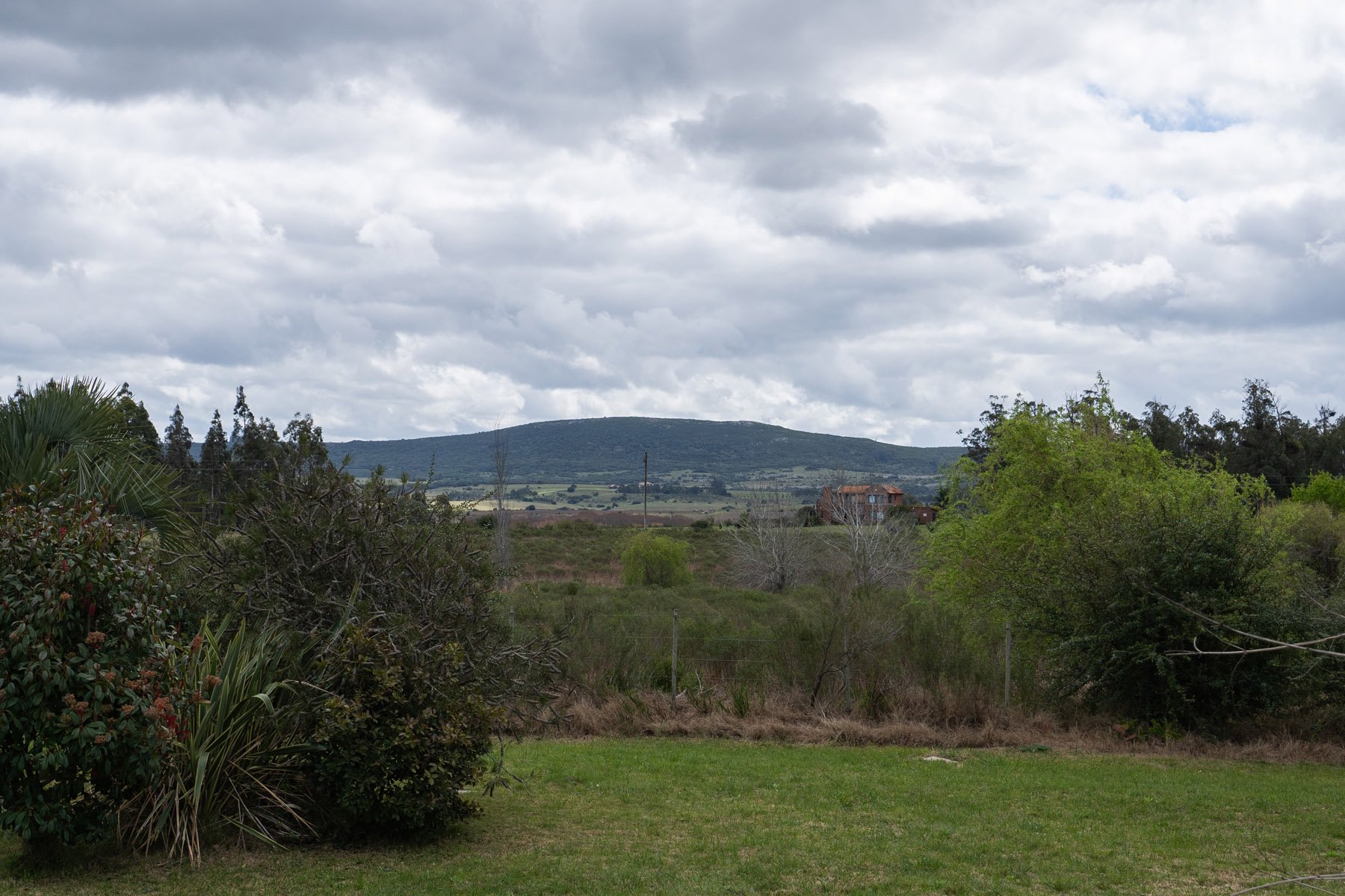  5-hectare farm in Pueblo Edén. - 物件實景