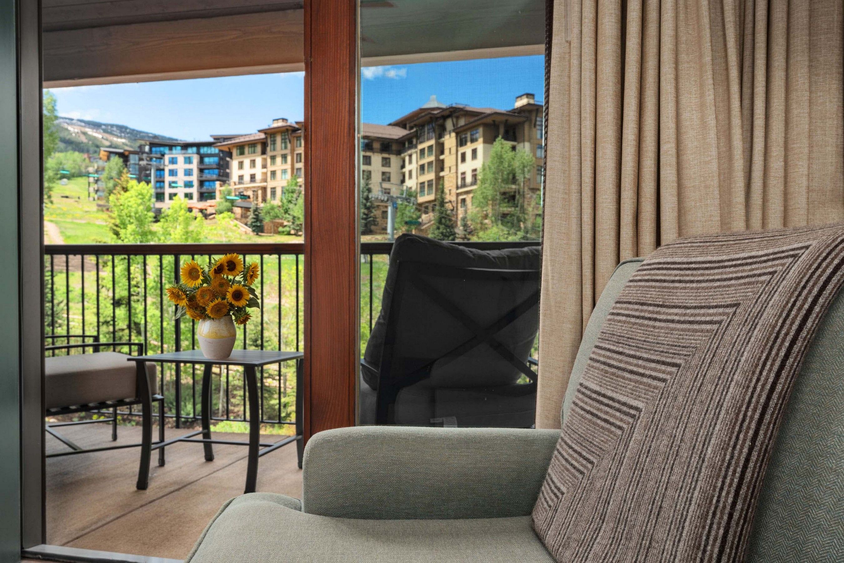  96 Timbers Club Court, Snowmass Village, CO, 81615 - 物件實景