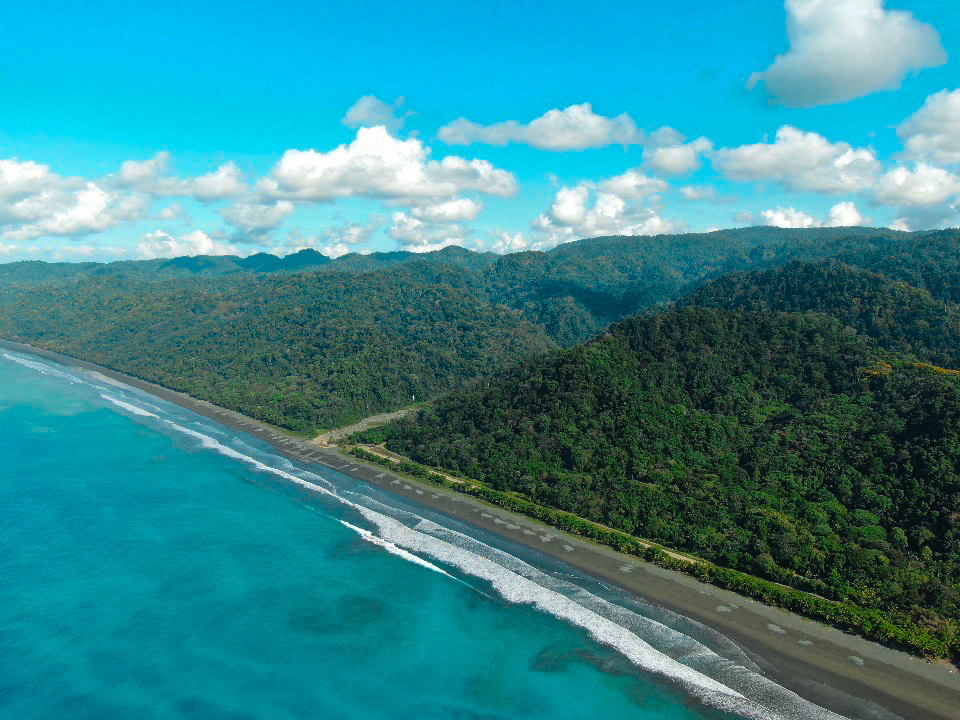Osa Peninsula, Carate, Cabo Matapalo, Puntarenas, CR, ,Land,For Sale,Osa Peninsula, Carate,1585857