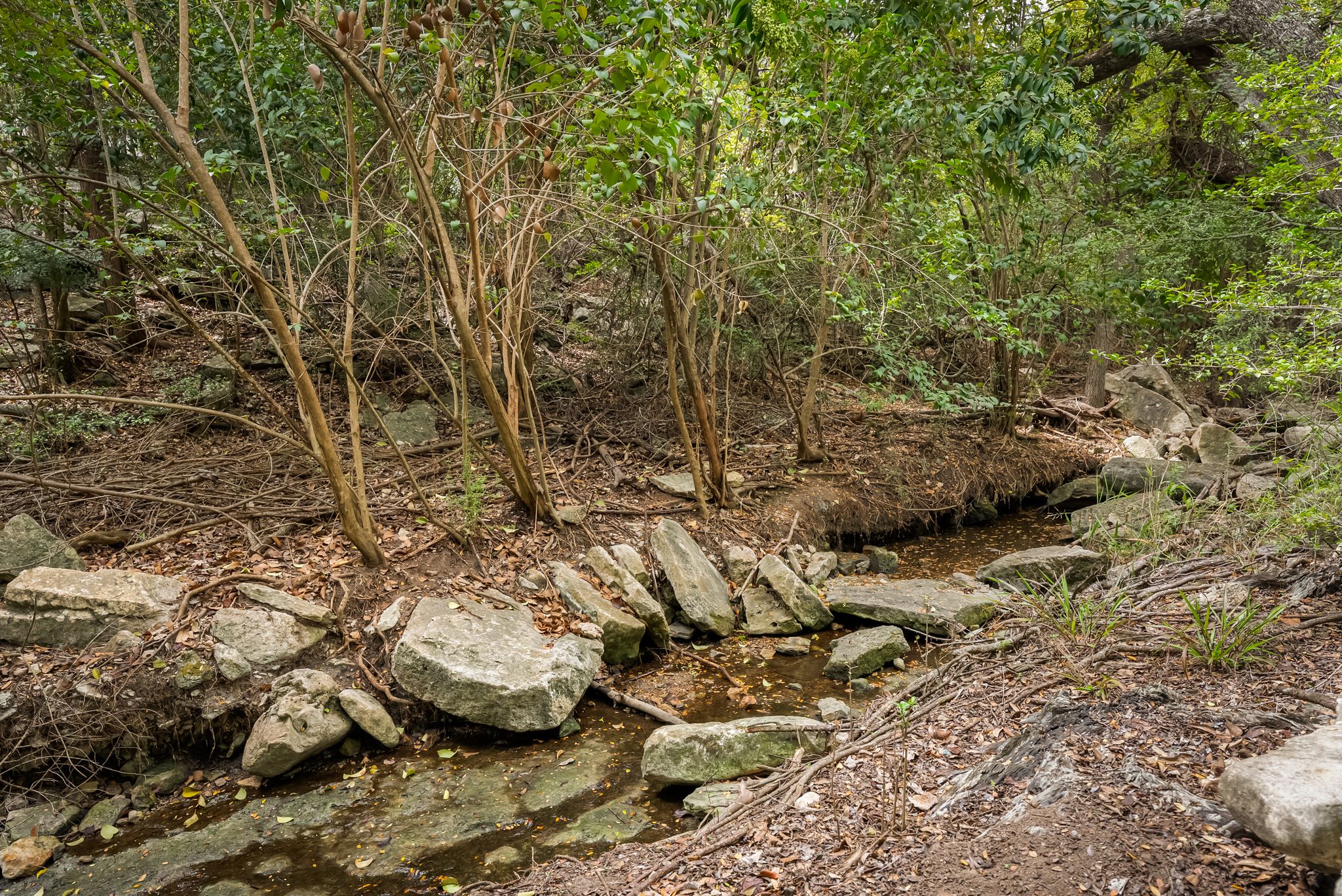  A Storybook Setting on Bull Creek - 物件實景