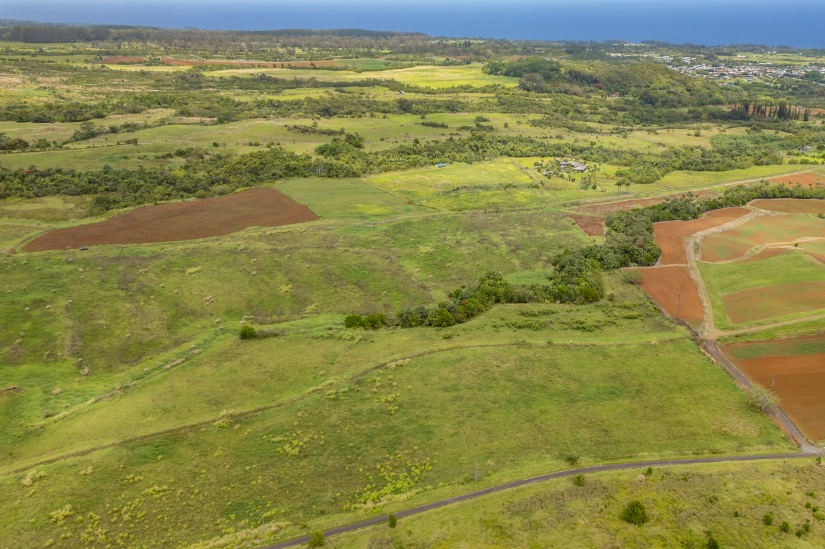 Pepeekeo, Hawaii, 96783, United States, ,Residential,For Sale,1943920