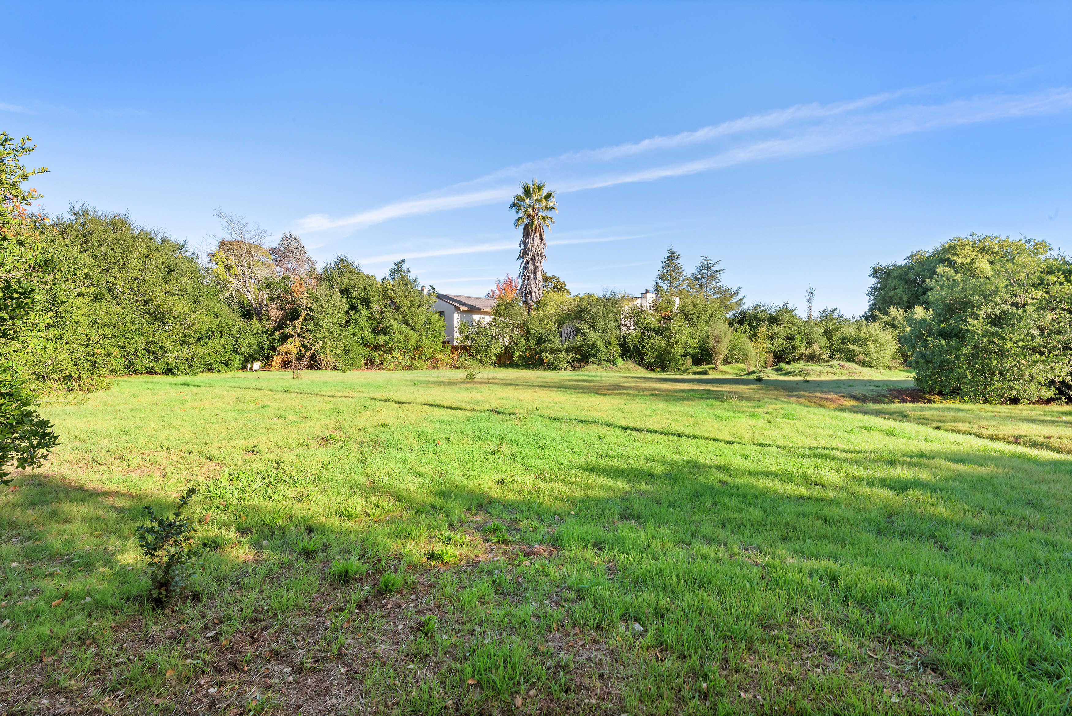 Entitled 31 Unit Luxury Condo Development Near Downtown Sonoma Plaza - 物件實景