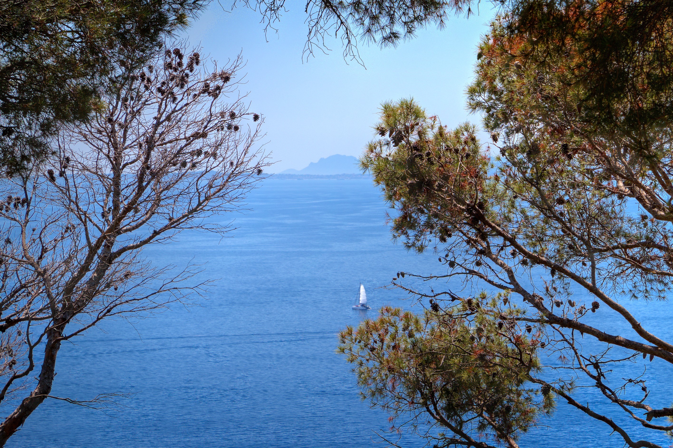  Exceptional provençal villa Cap-Ferrat, panoramic sea views, pool, landscaped g… - 物件實景