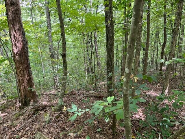 Graysville, Tennessee, 37338, United States, ,Residential,For Sale,1943907