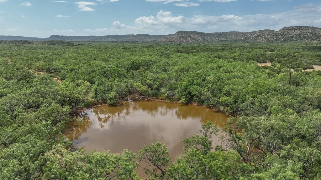 Tennyson, Texas, 76953, United States, ,Land,For Sale,1982007